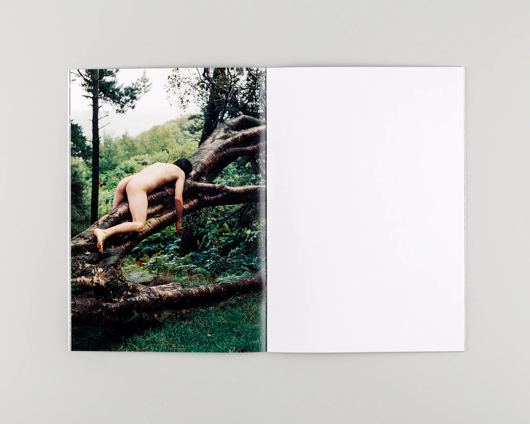 Human / Nature - Image 5