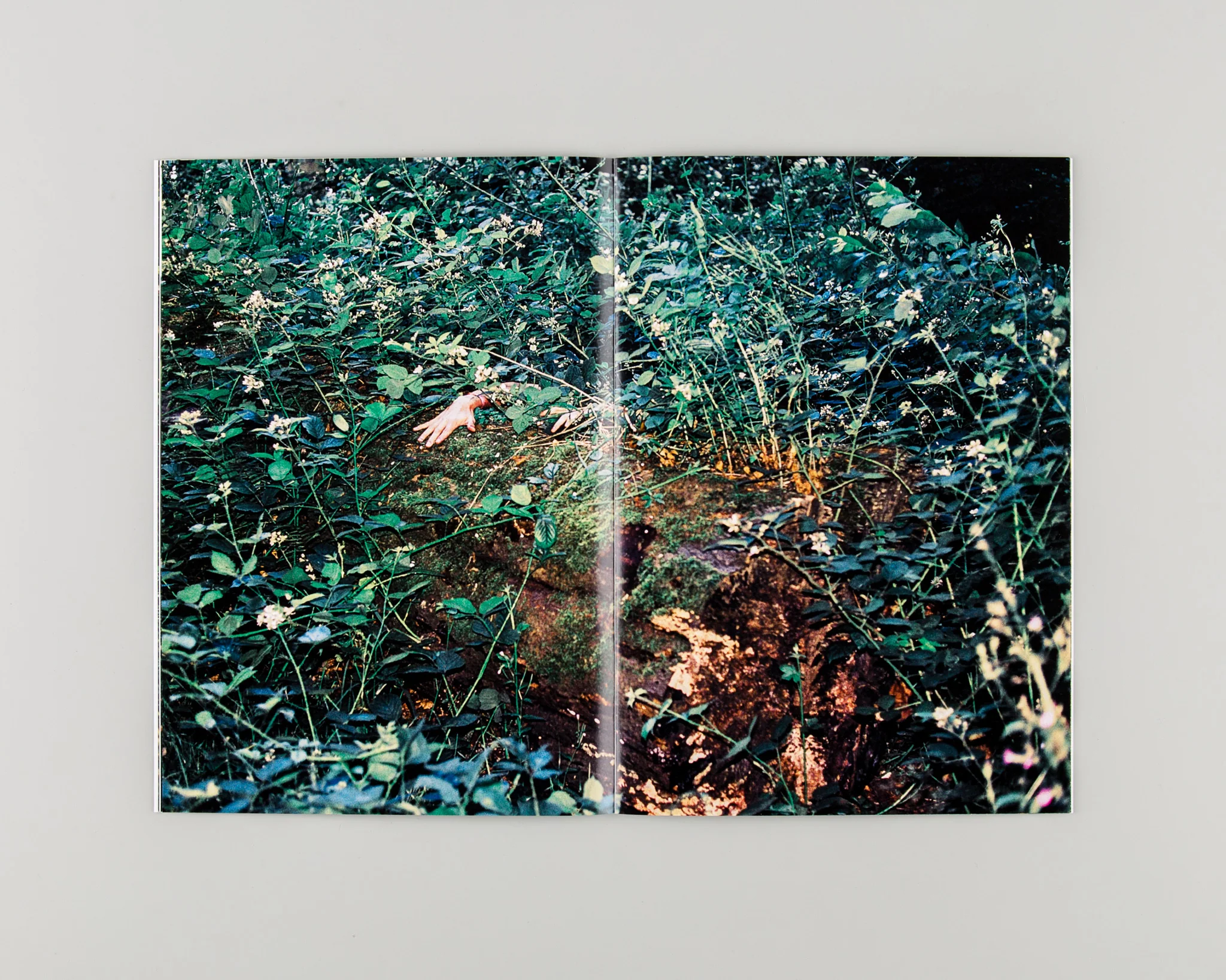 Human / Nature - Image 6