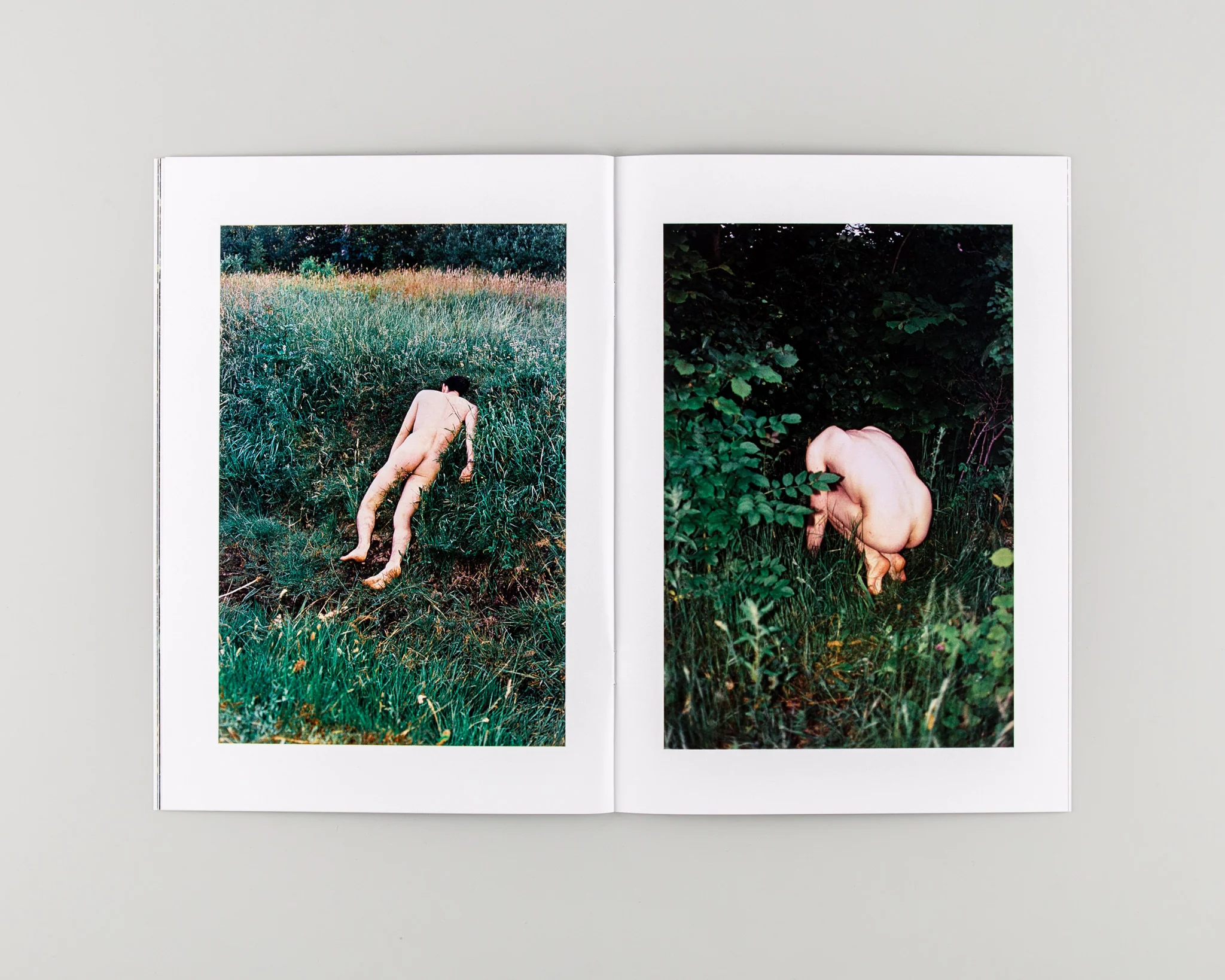 Human / Nature - Image 7