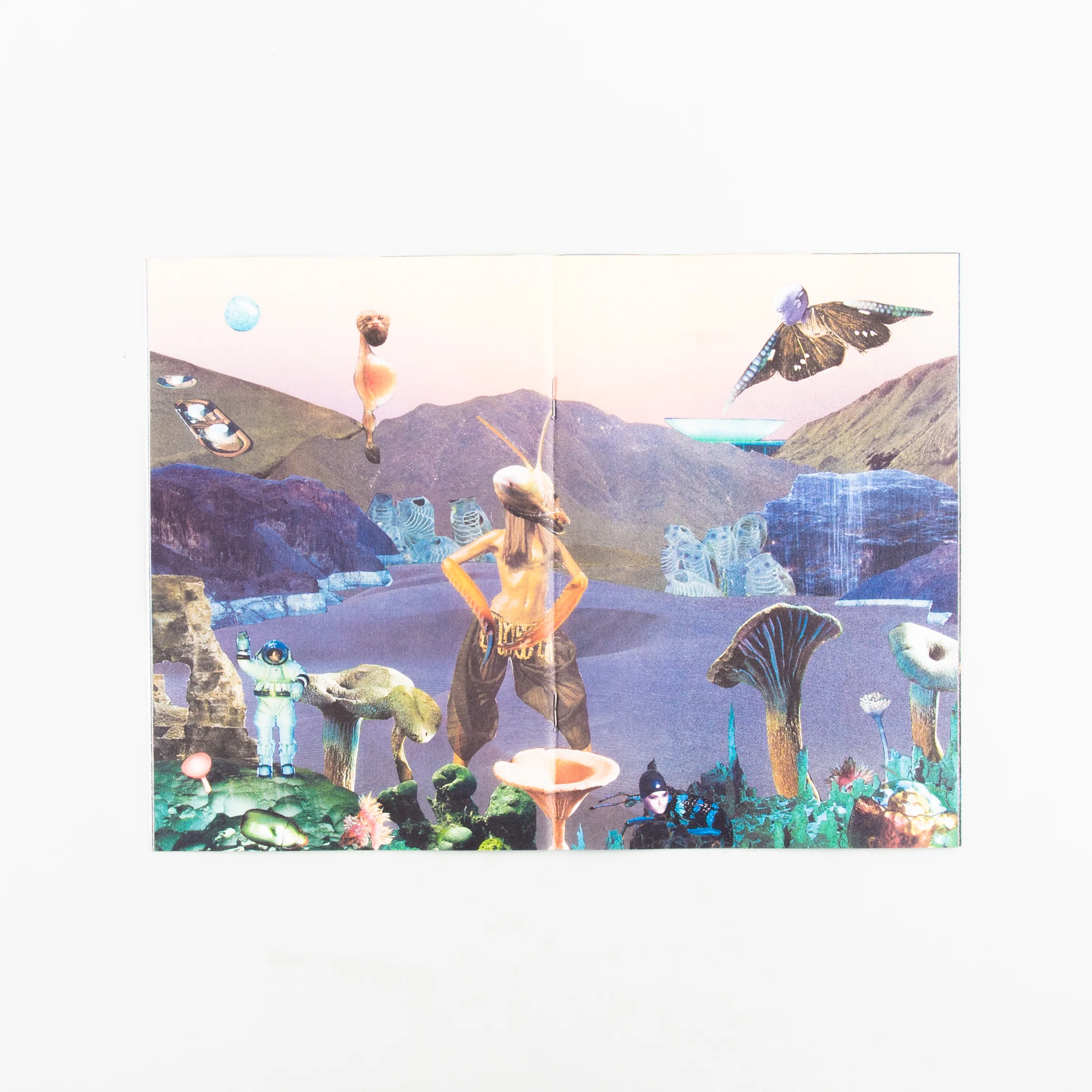 Hybrids and Mushroom friends - Image 2