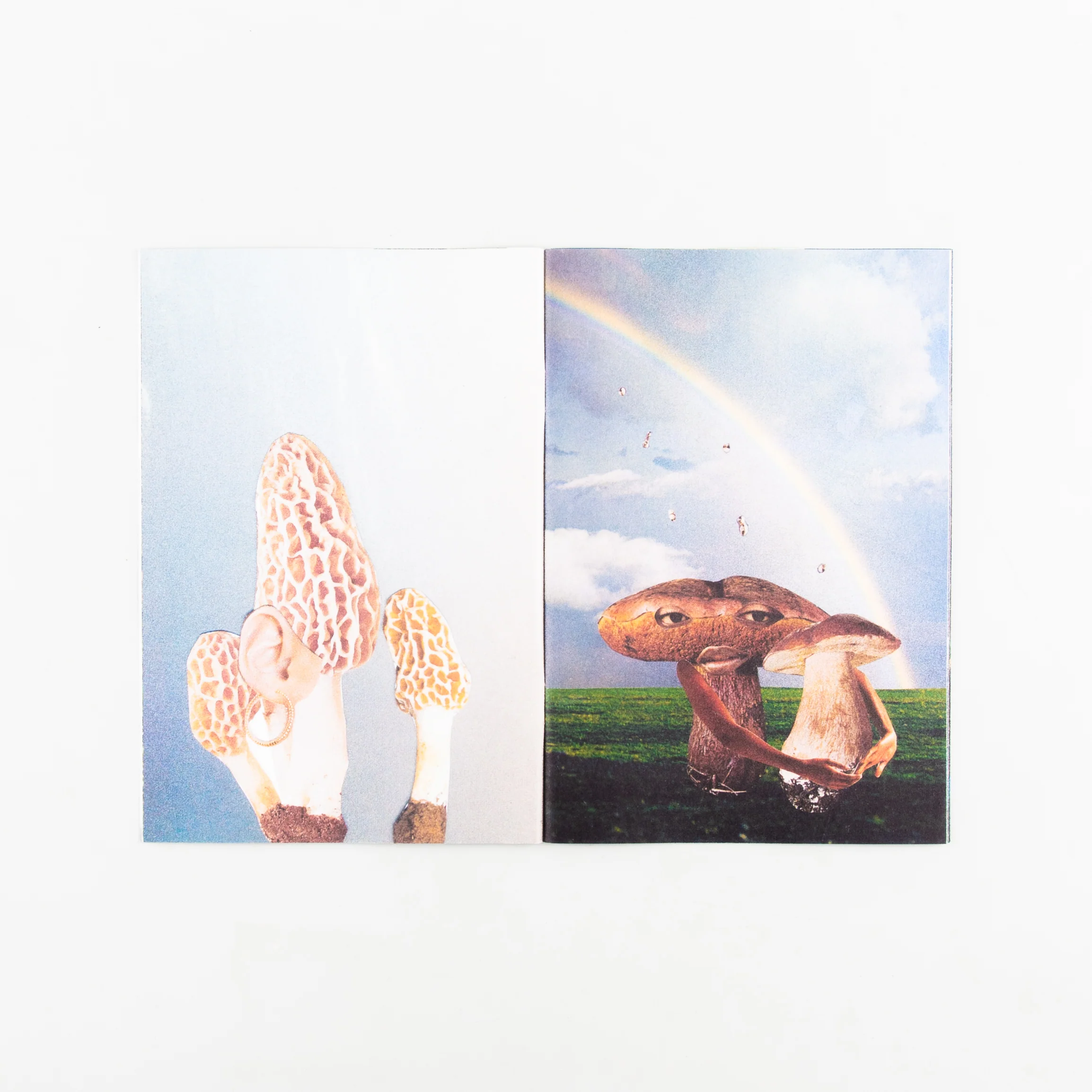 Hybrids and Mushroom friends - Image 4