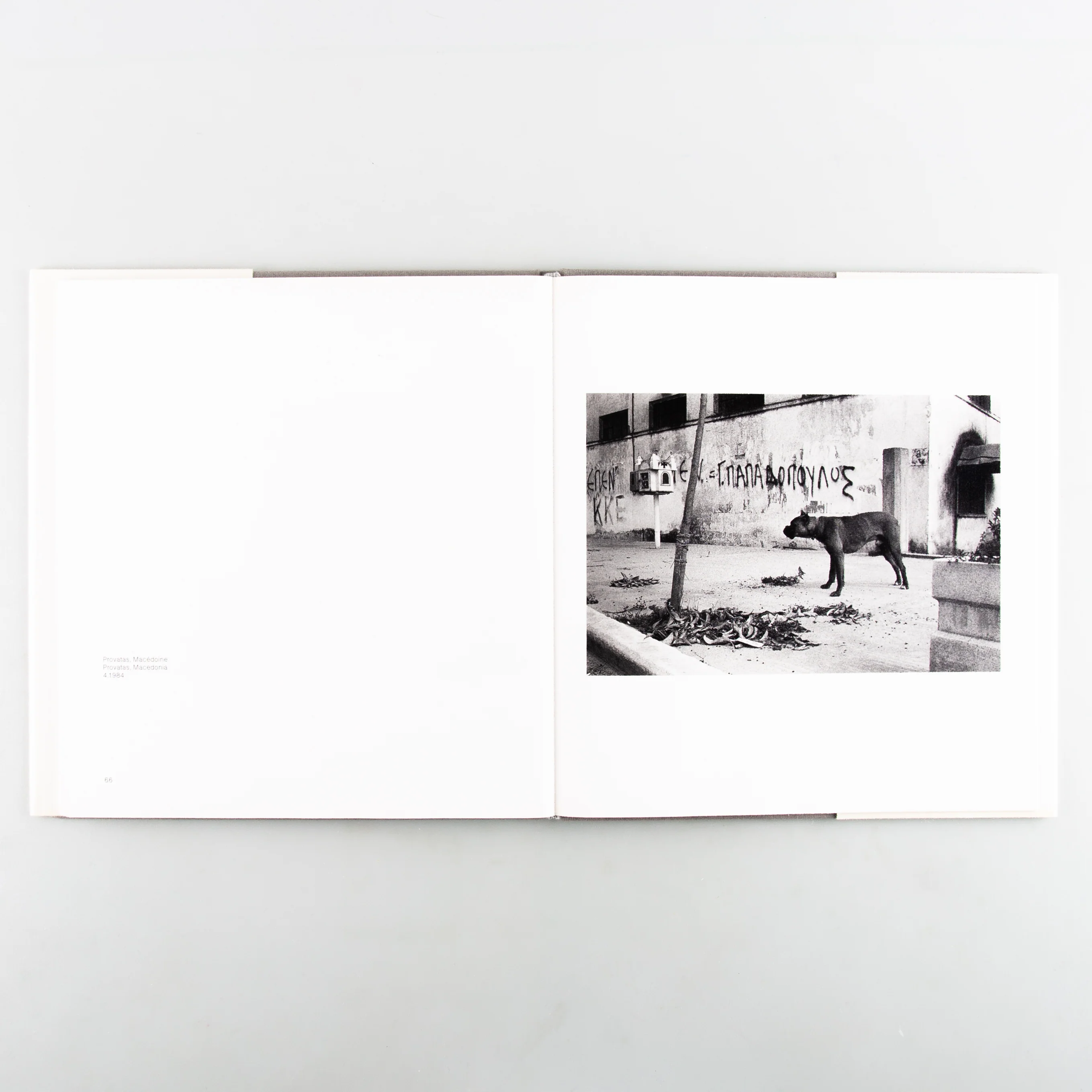 Ikonastasia - Image 7