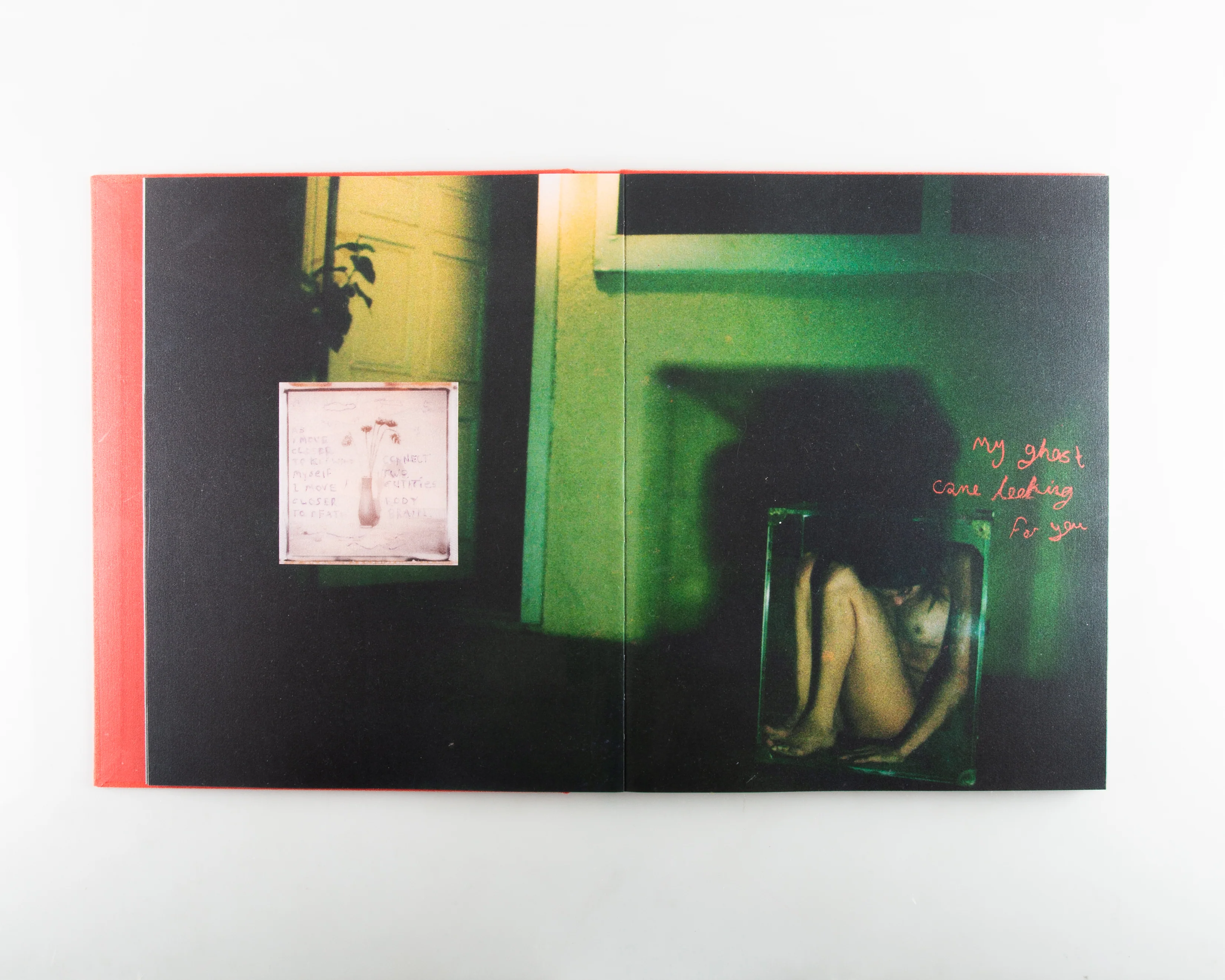 I'm Not Home - Image 6