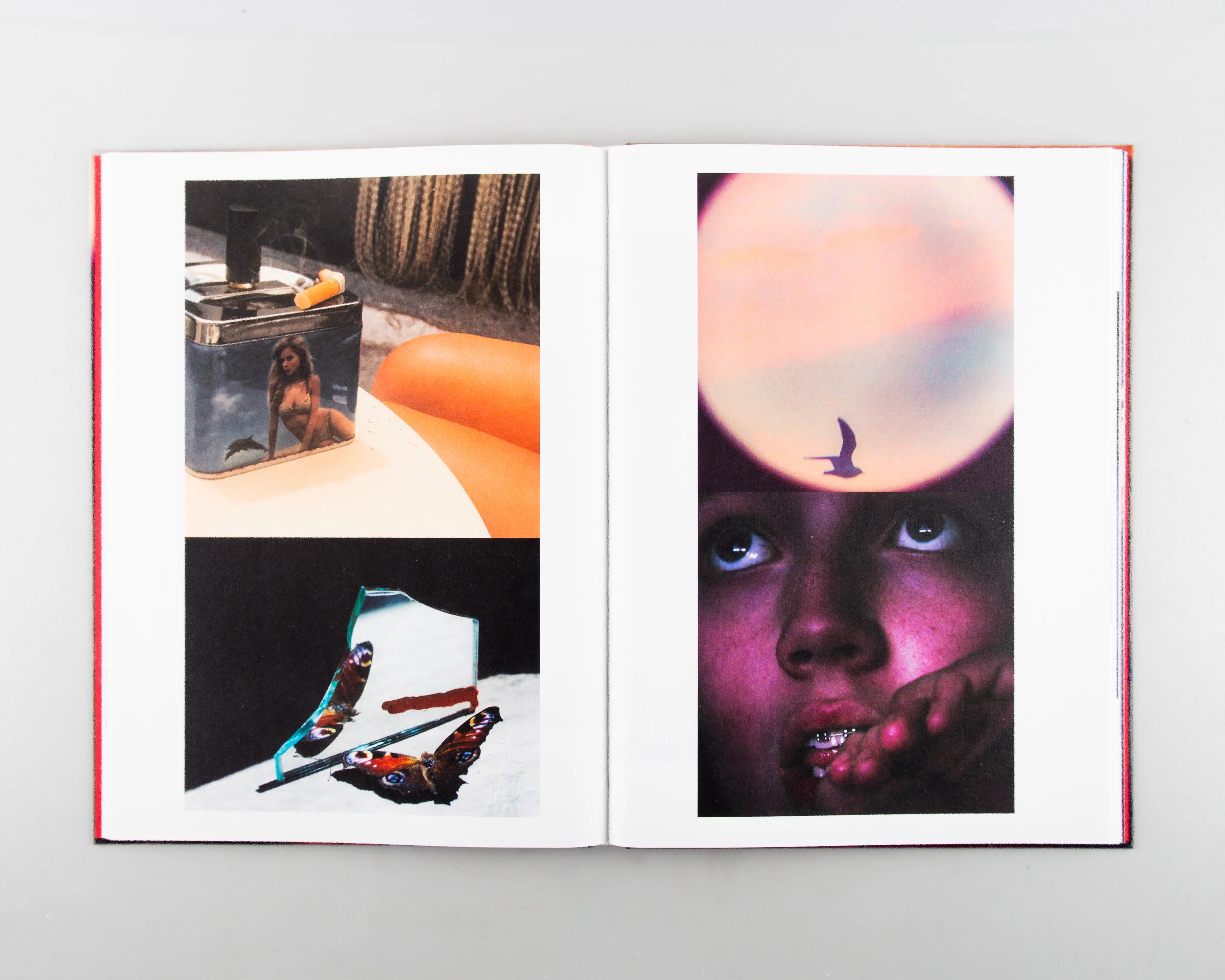 Impermanence - Image 5