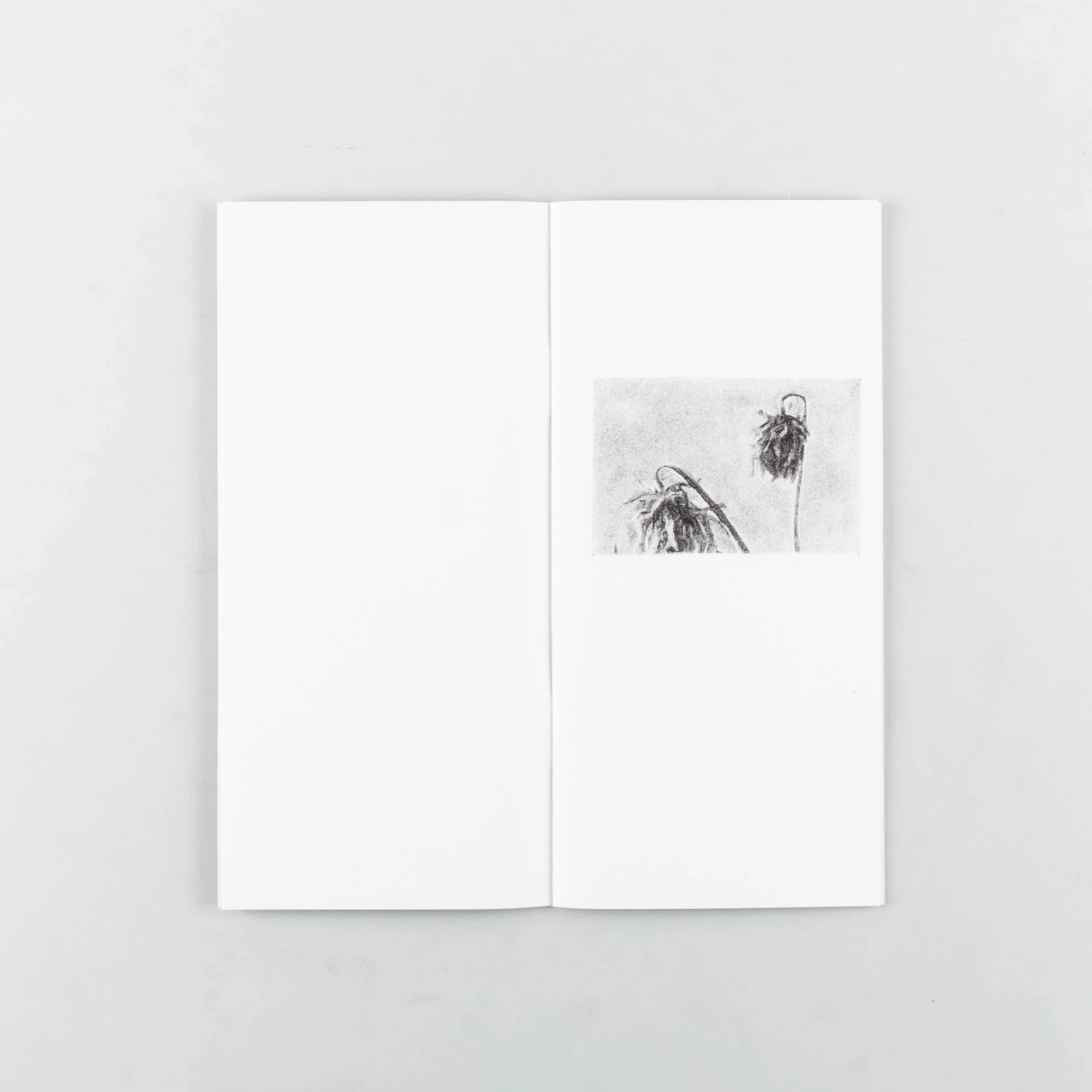 In Absence of Pleasure - Image 2