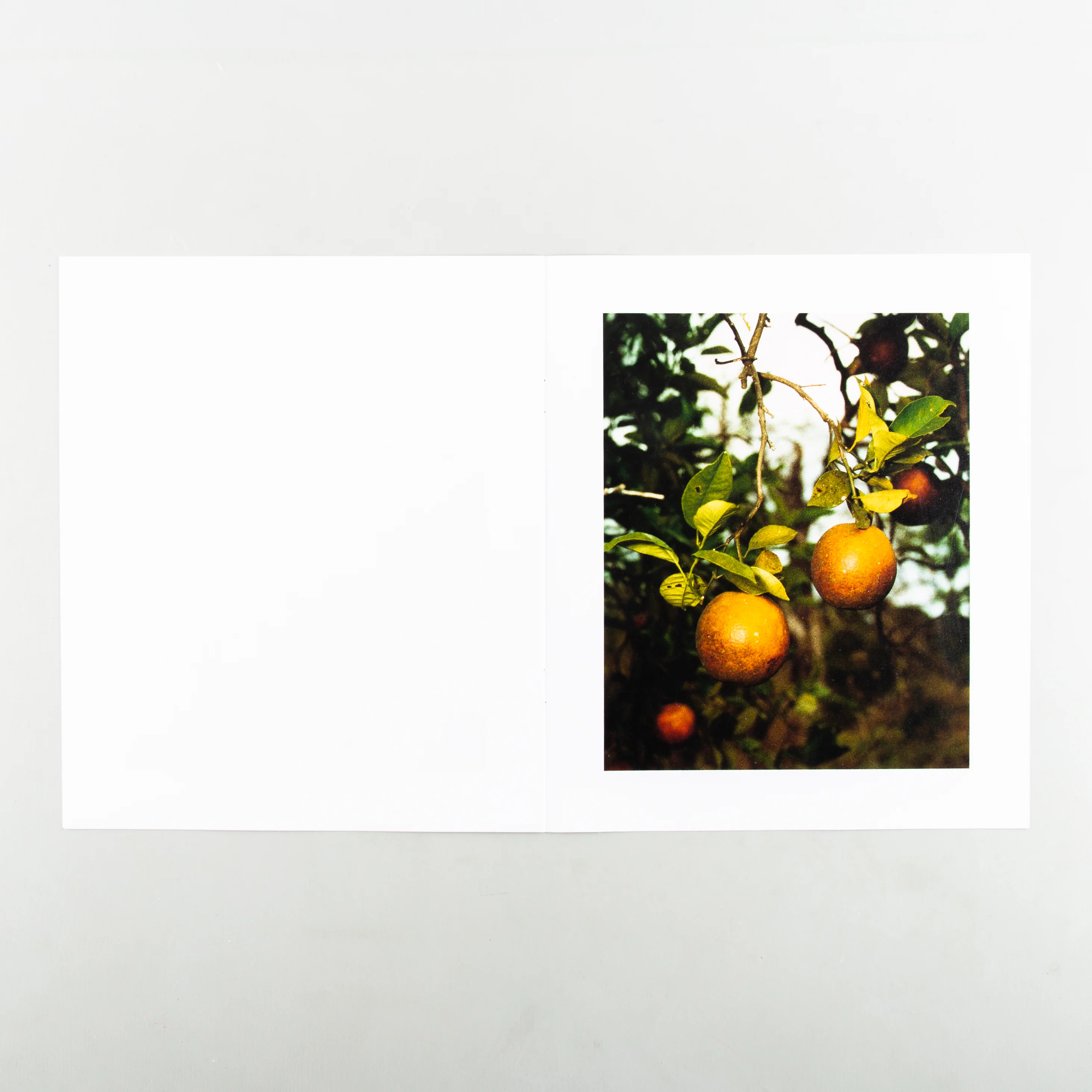 In The Beginning - Image 10
