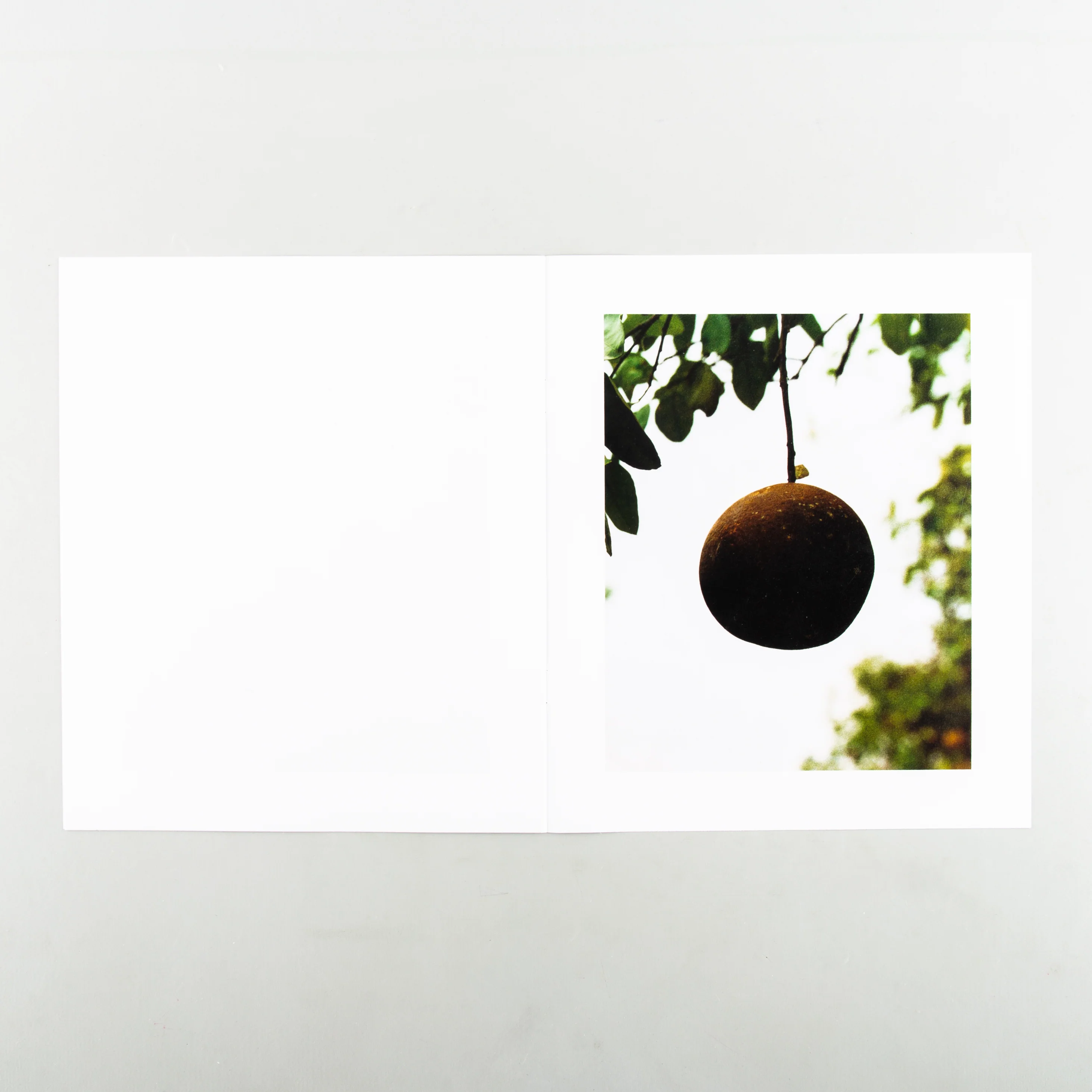 In The Beginning - Image 8