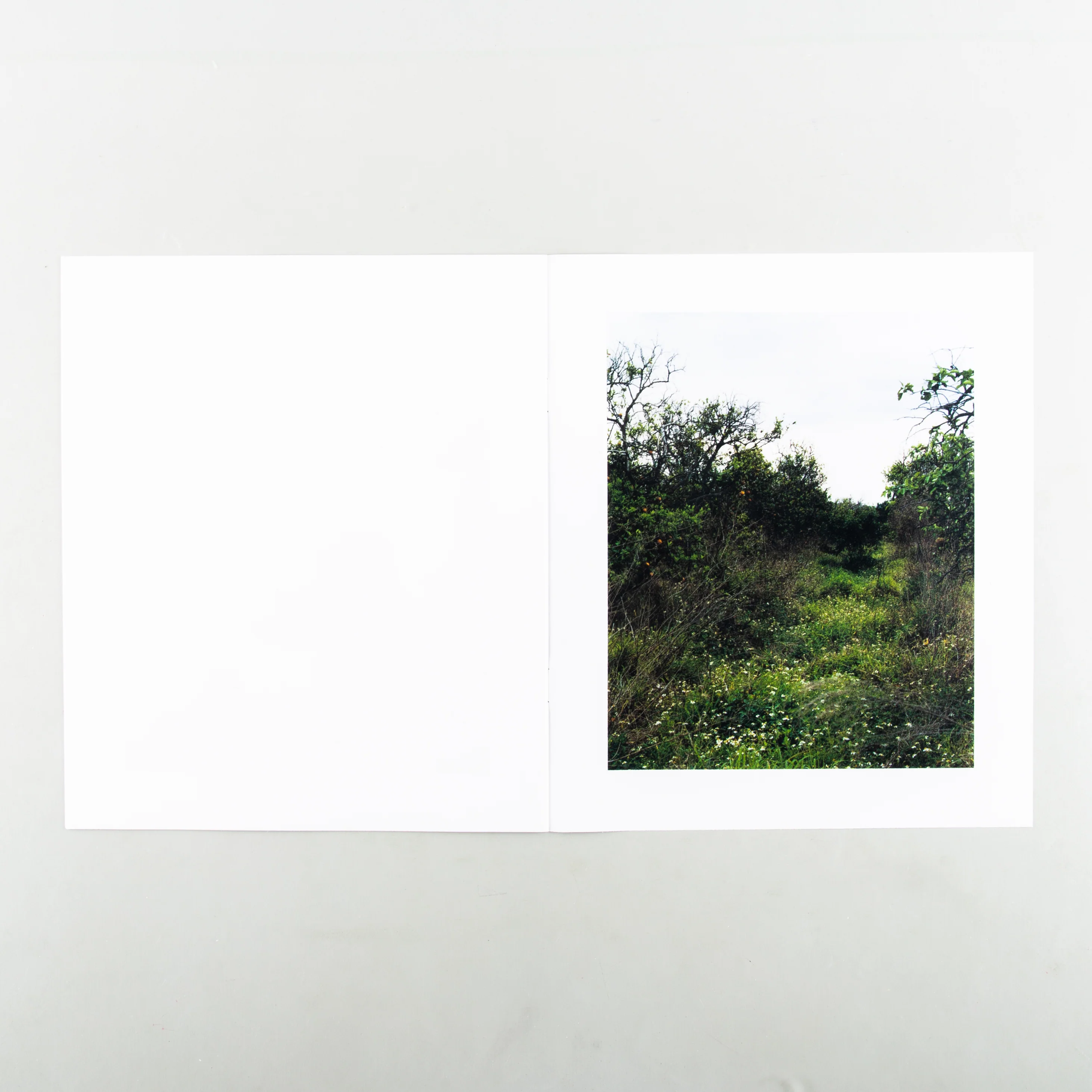 In The Beginning - Image 9