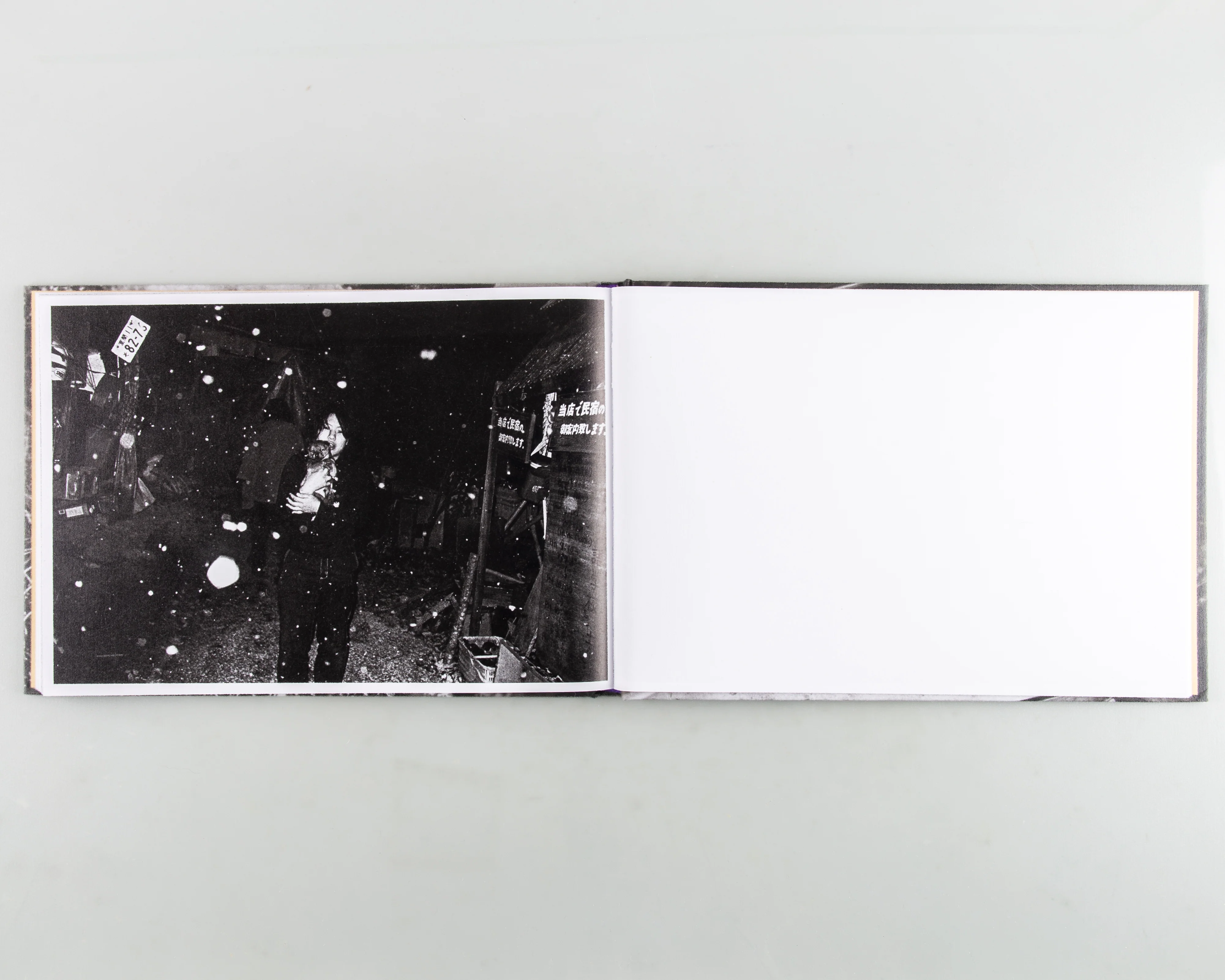 In the Flap of a Bird's Wing, Water Dries Up - Image 7