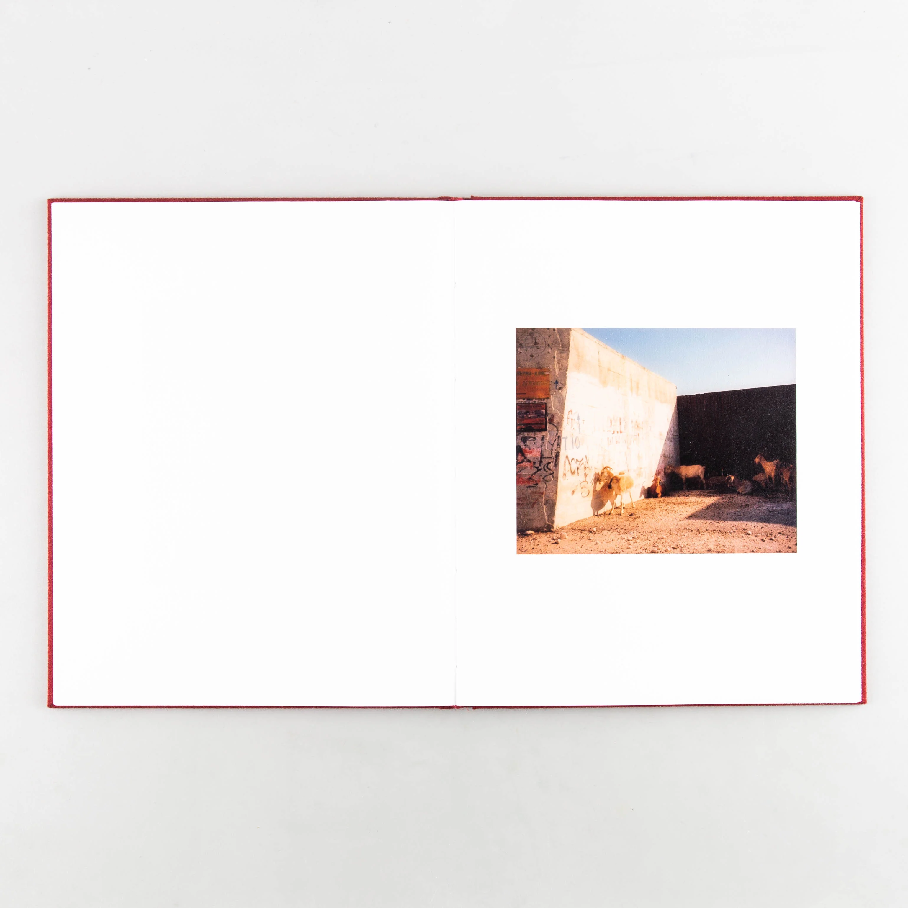 Infinite Traces - Image 8