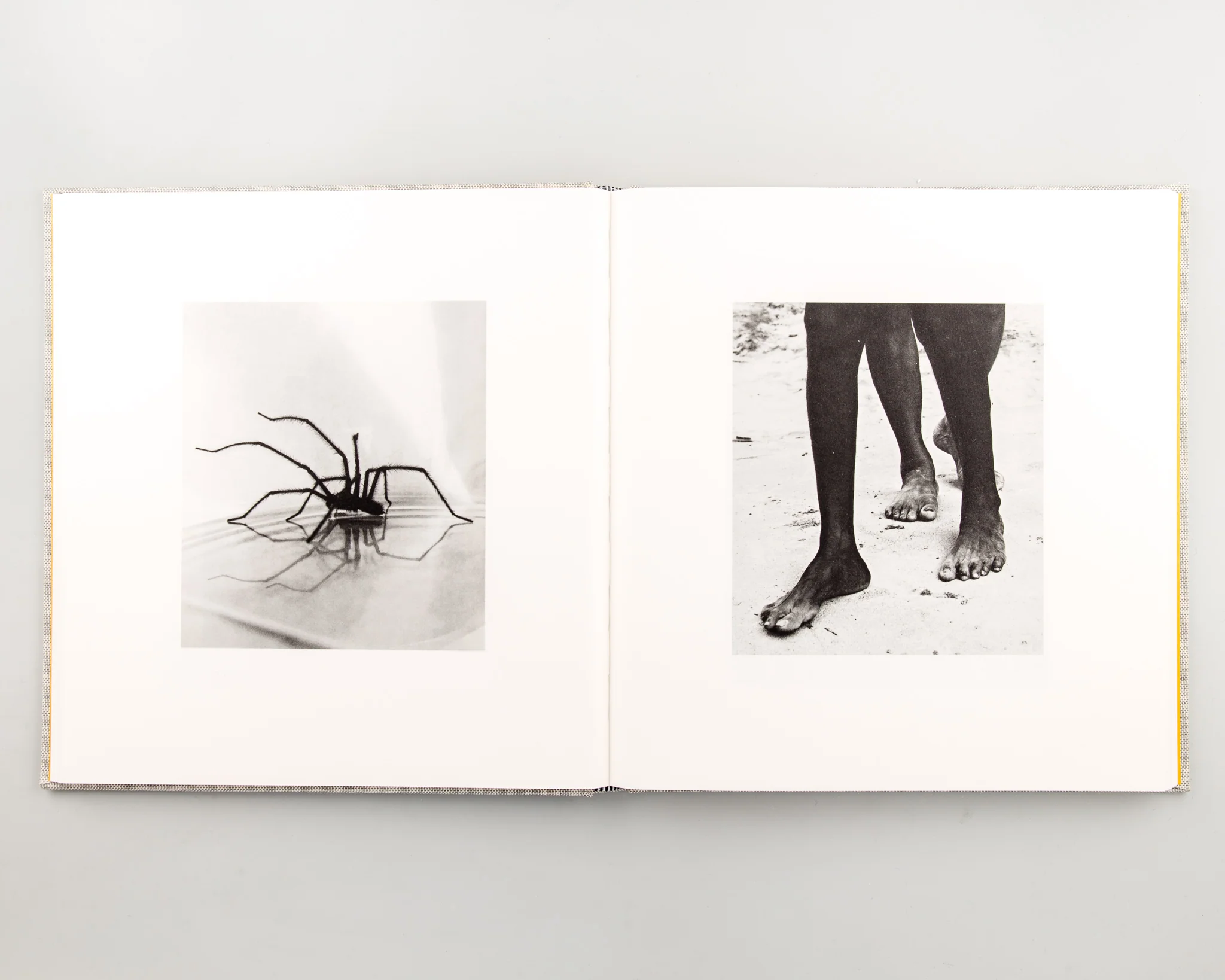 Jack Davison: Photographs - Image 2