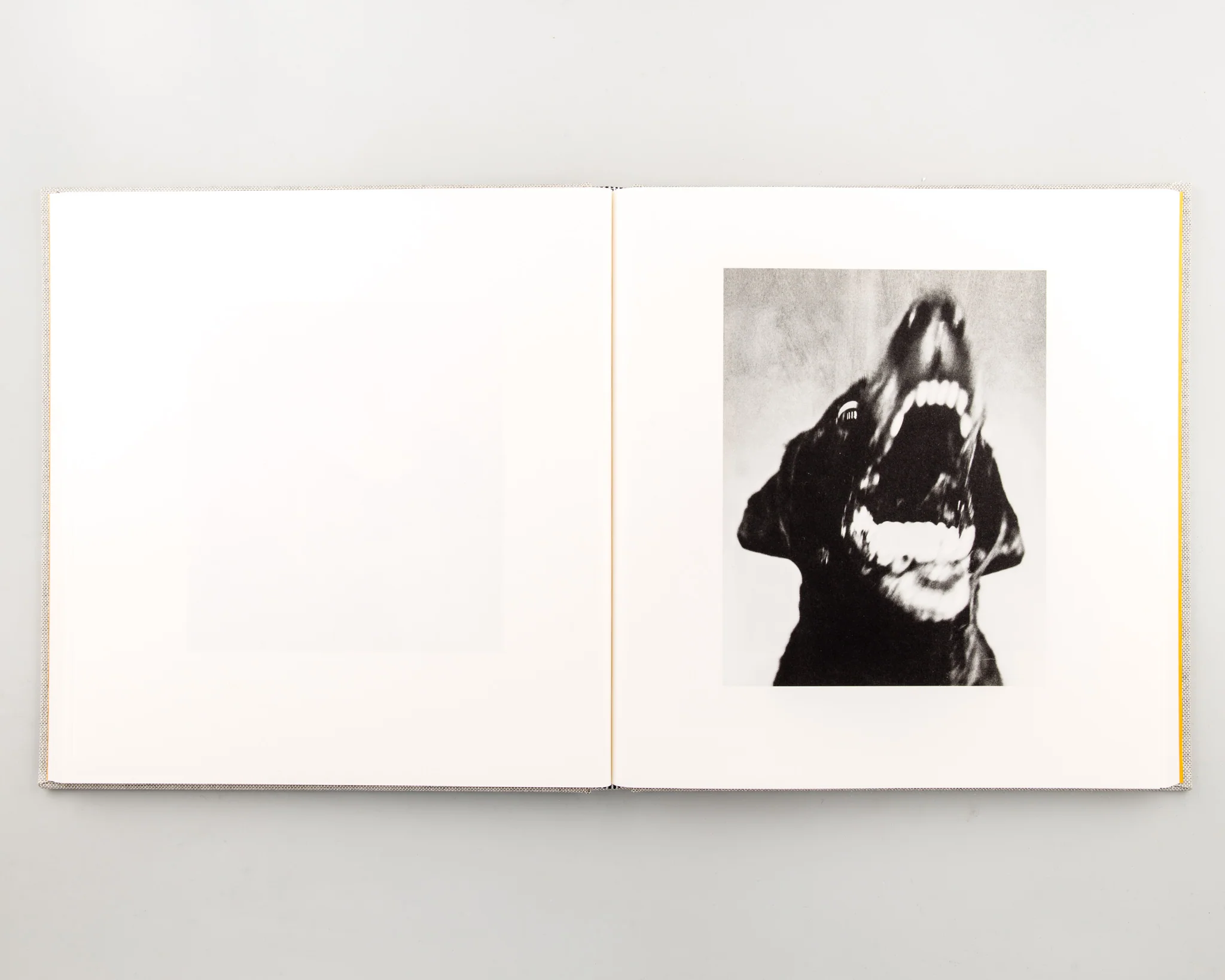 Jack Davison: Photographs - Image 3