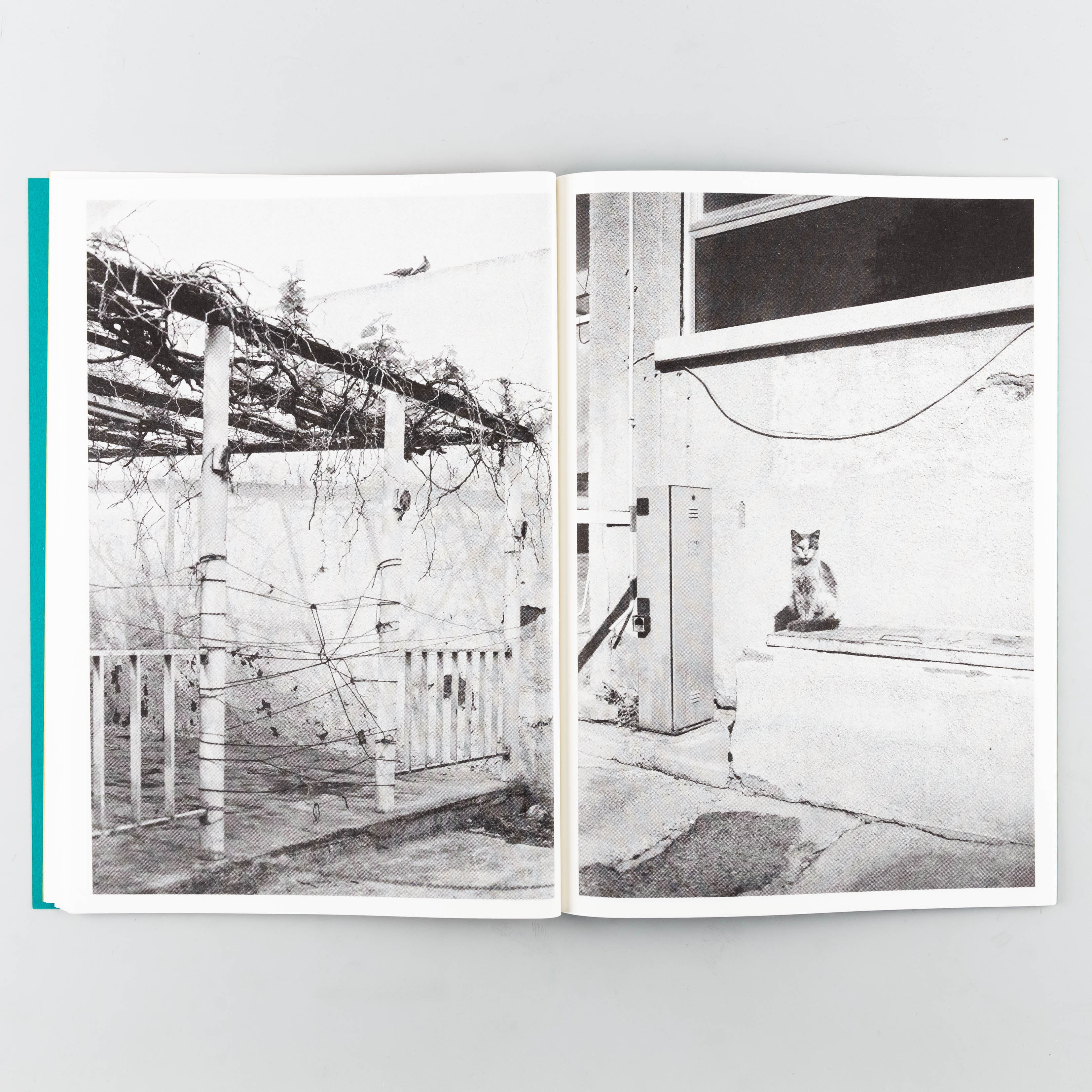 Kamares - Image 7