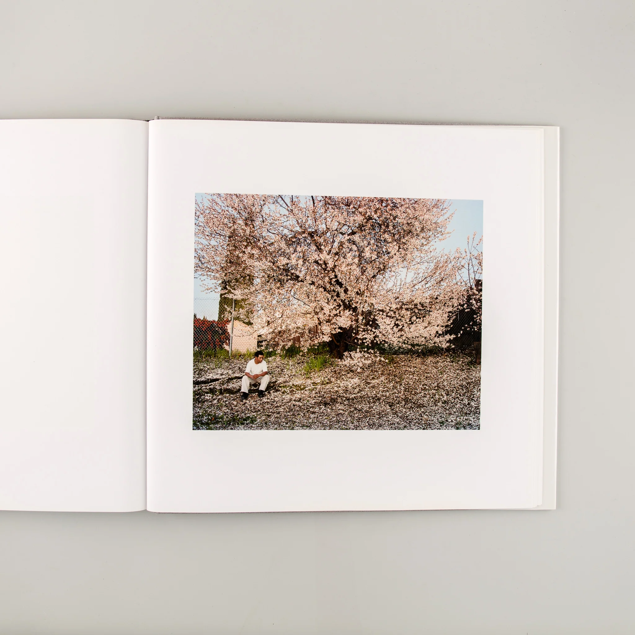 Katherine Avenue - Image 8