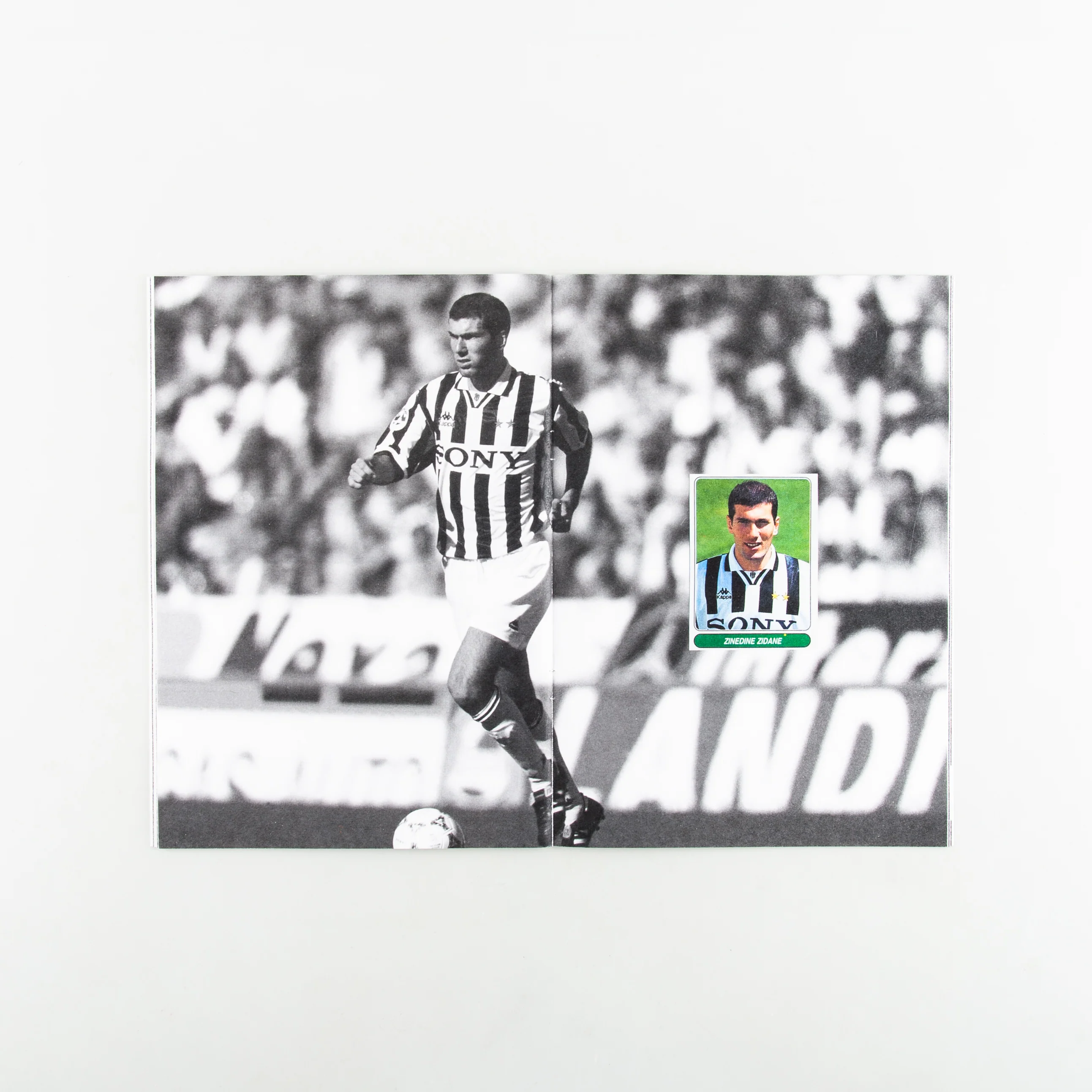LA VECCHIA SIGNORA - Image 4