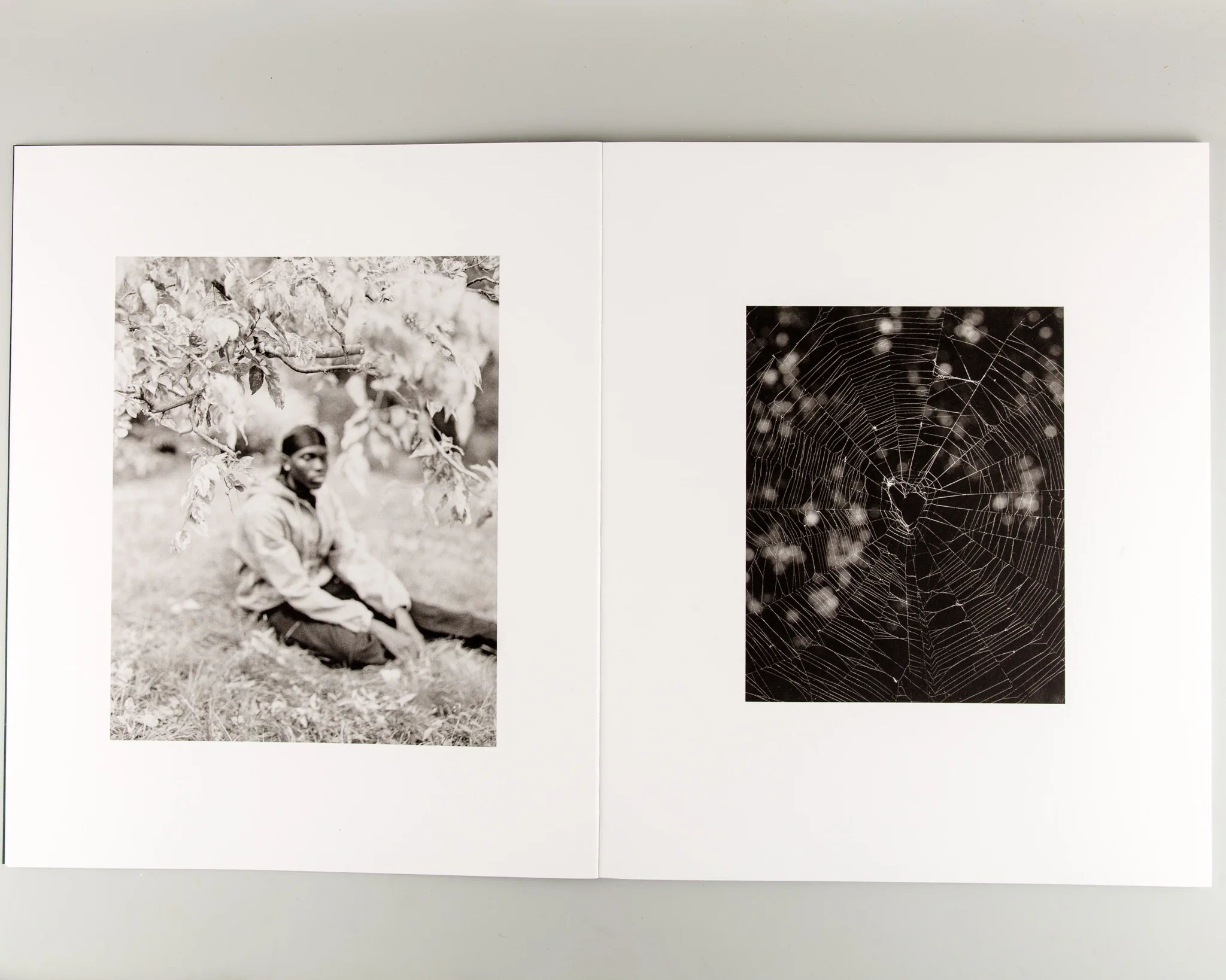 Languor - Image 4