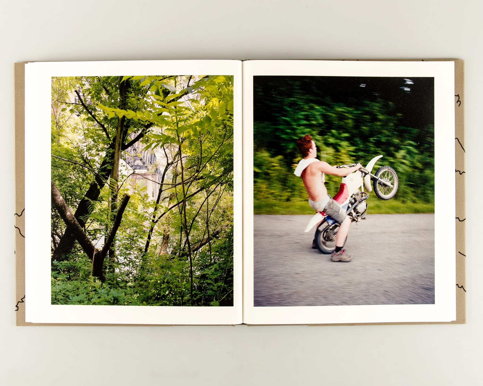 Laurel Mountain Laurel - Image 7