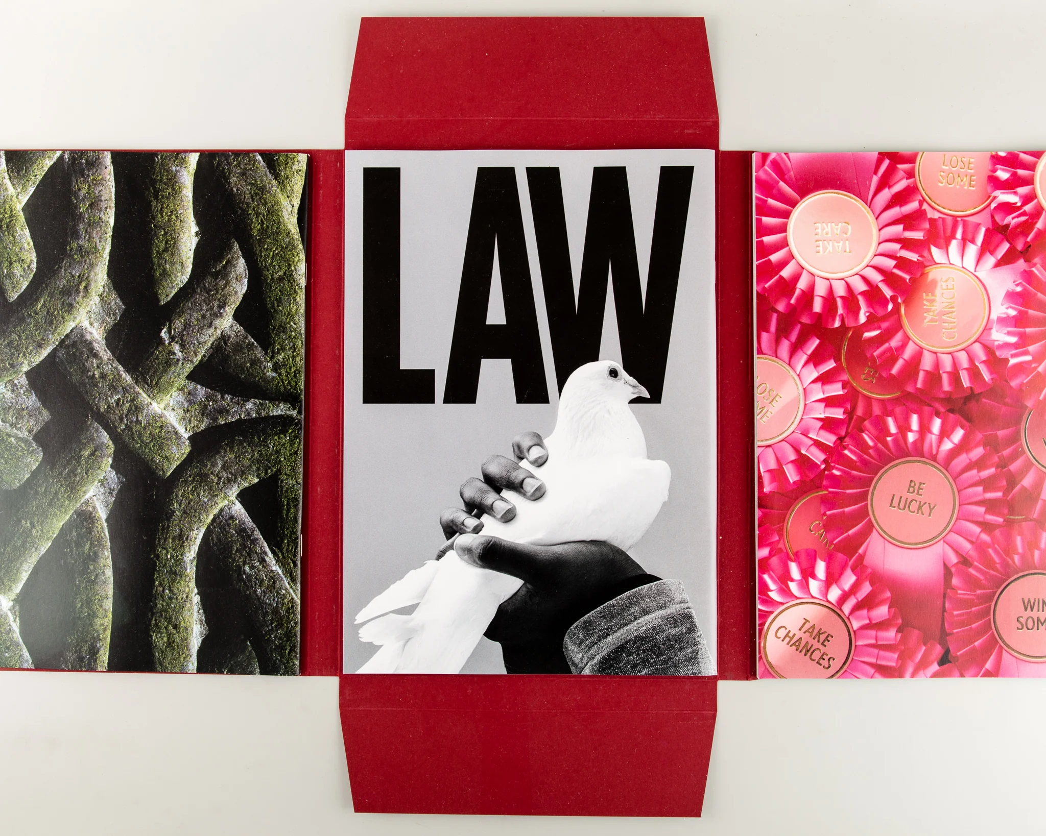 LAW #10 - Image 8