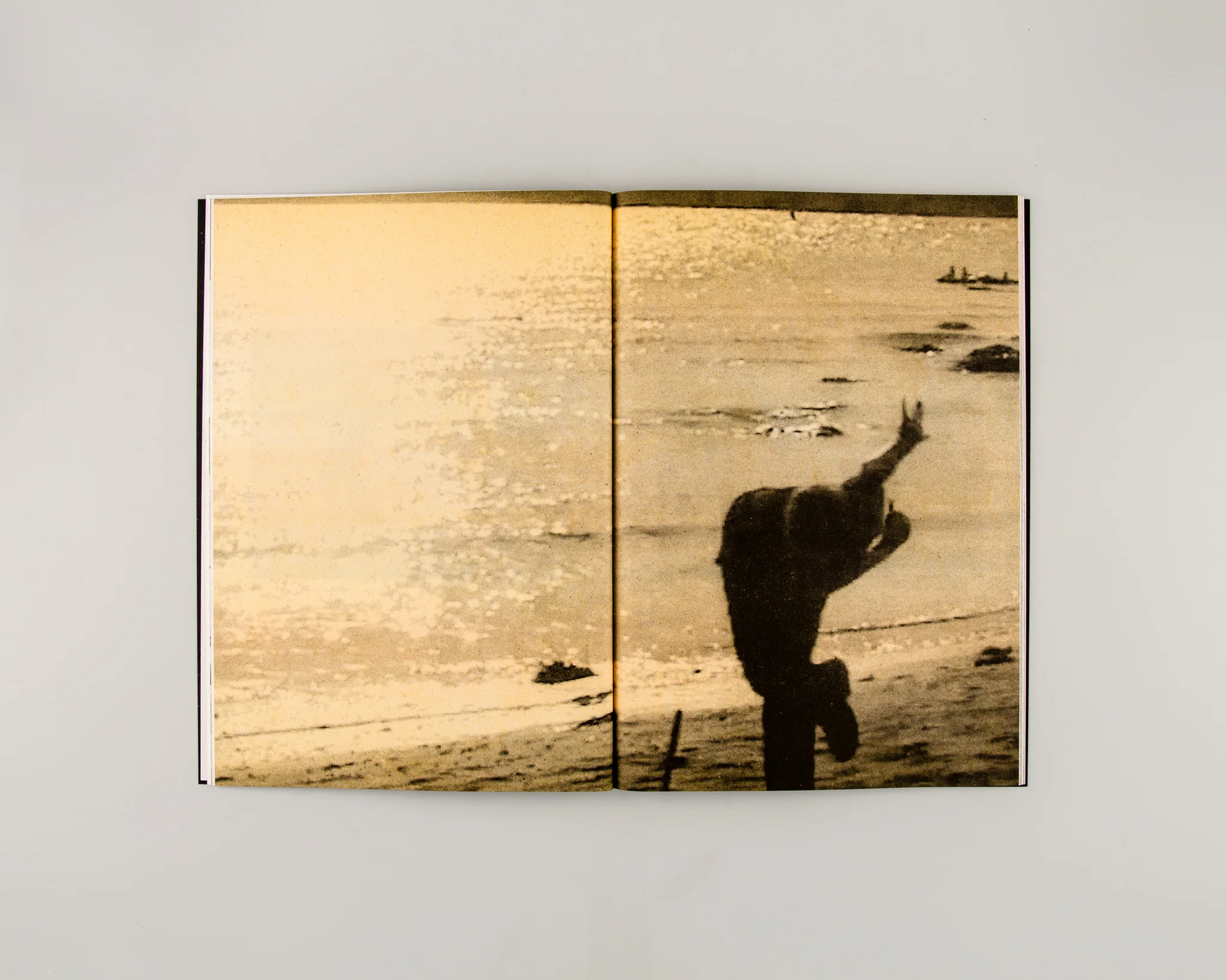 Lizard Point '99 - Image 3