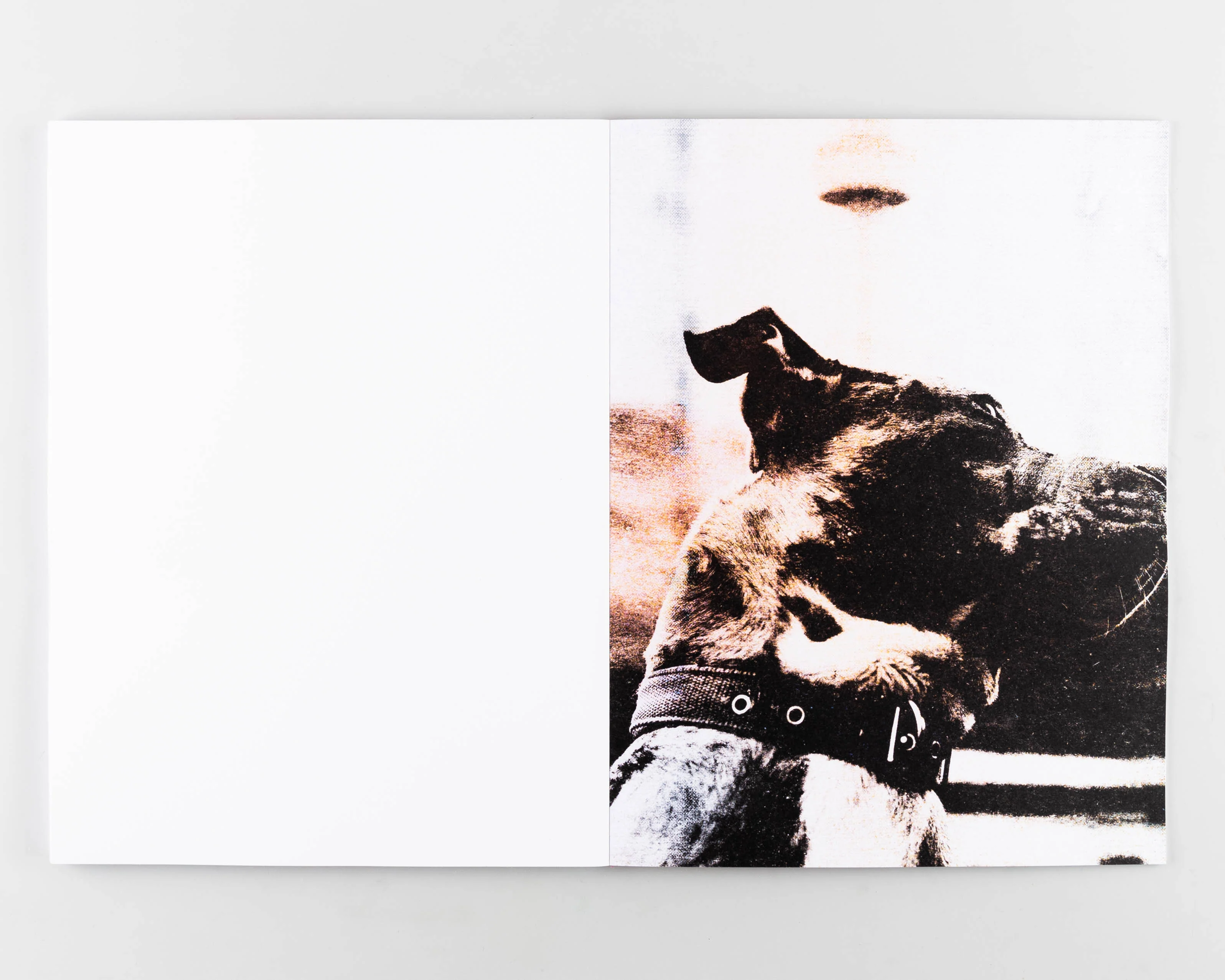 Loaded Gun - Image 2