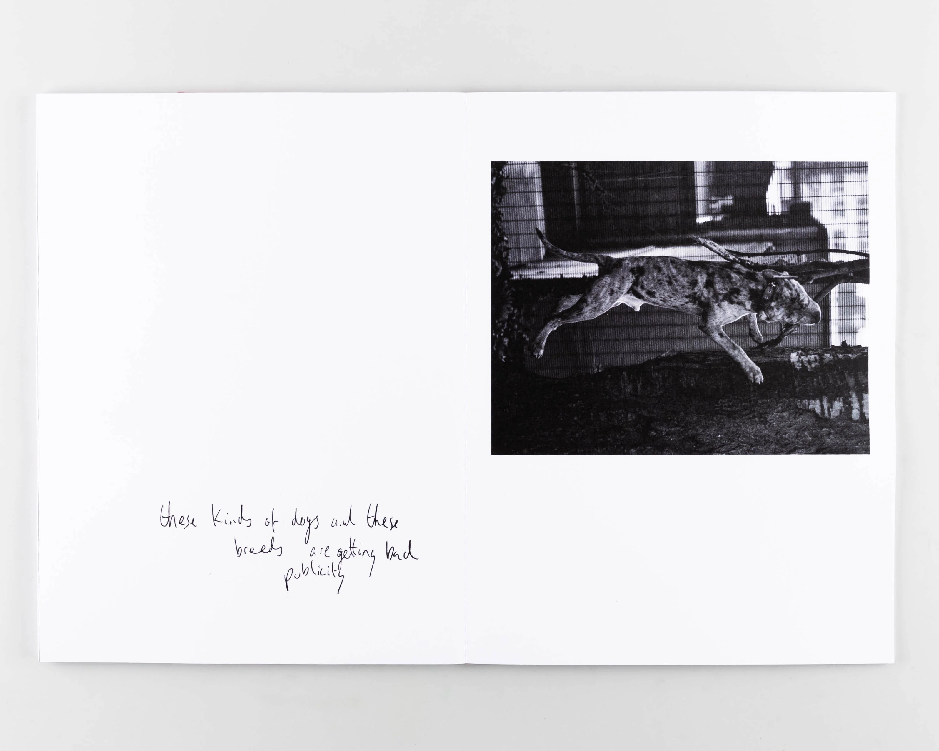 Loaded Gun - Image 3