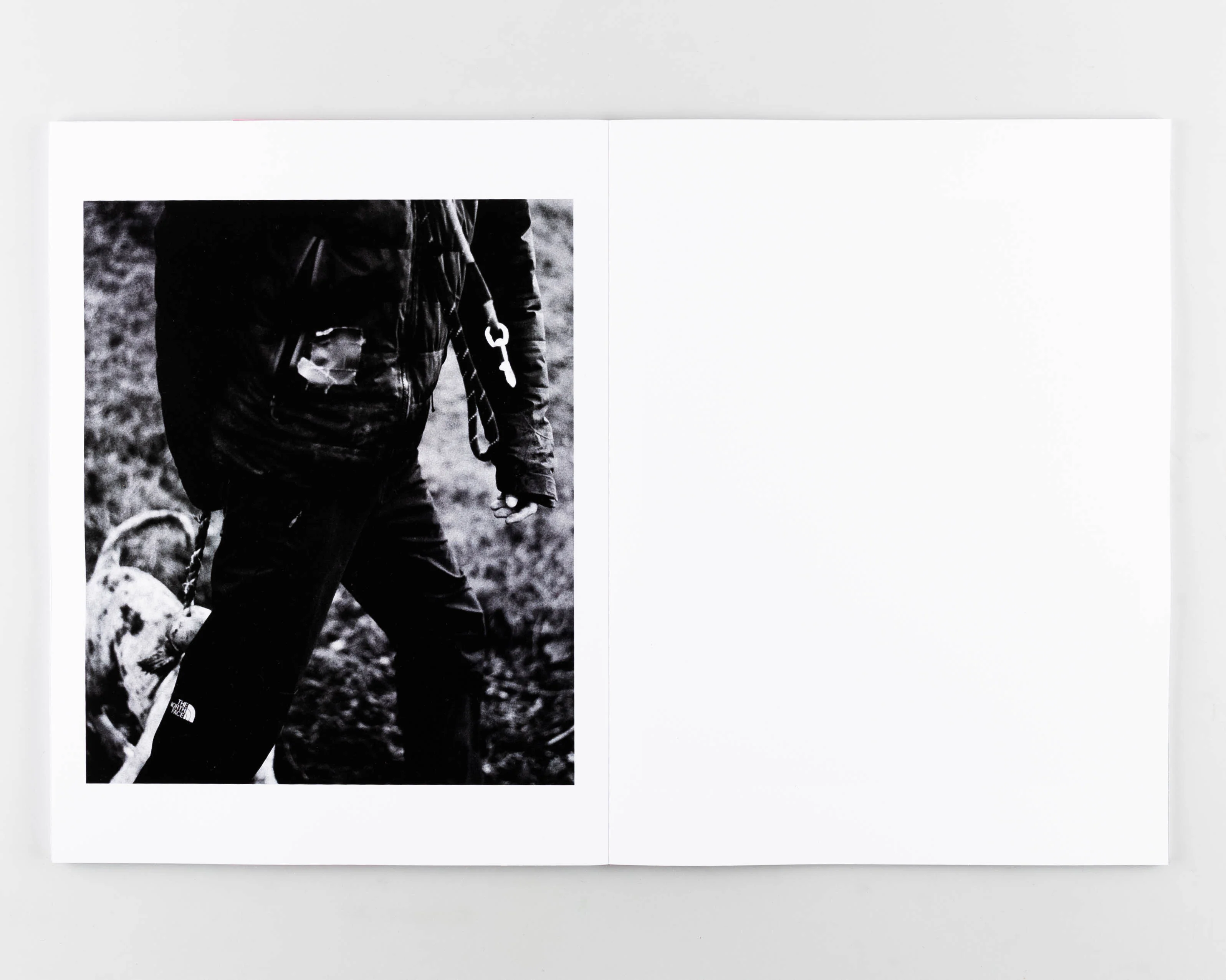 Loaded Gun - Image 4