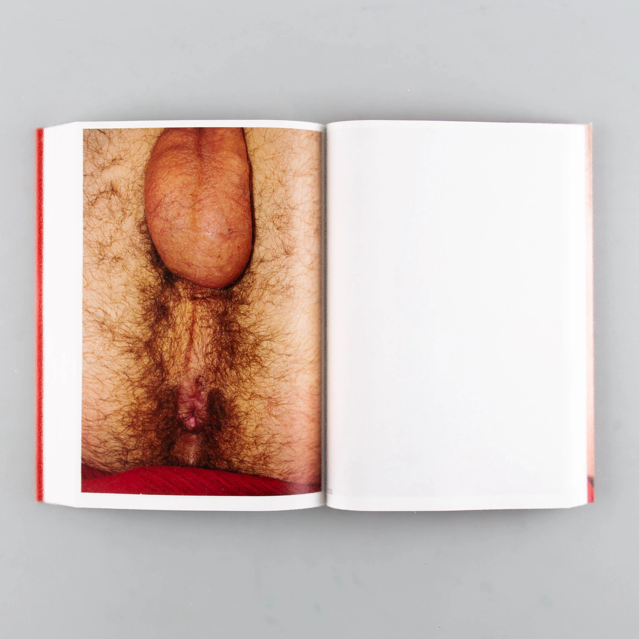 Вожделение (Lust) - Image 7
