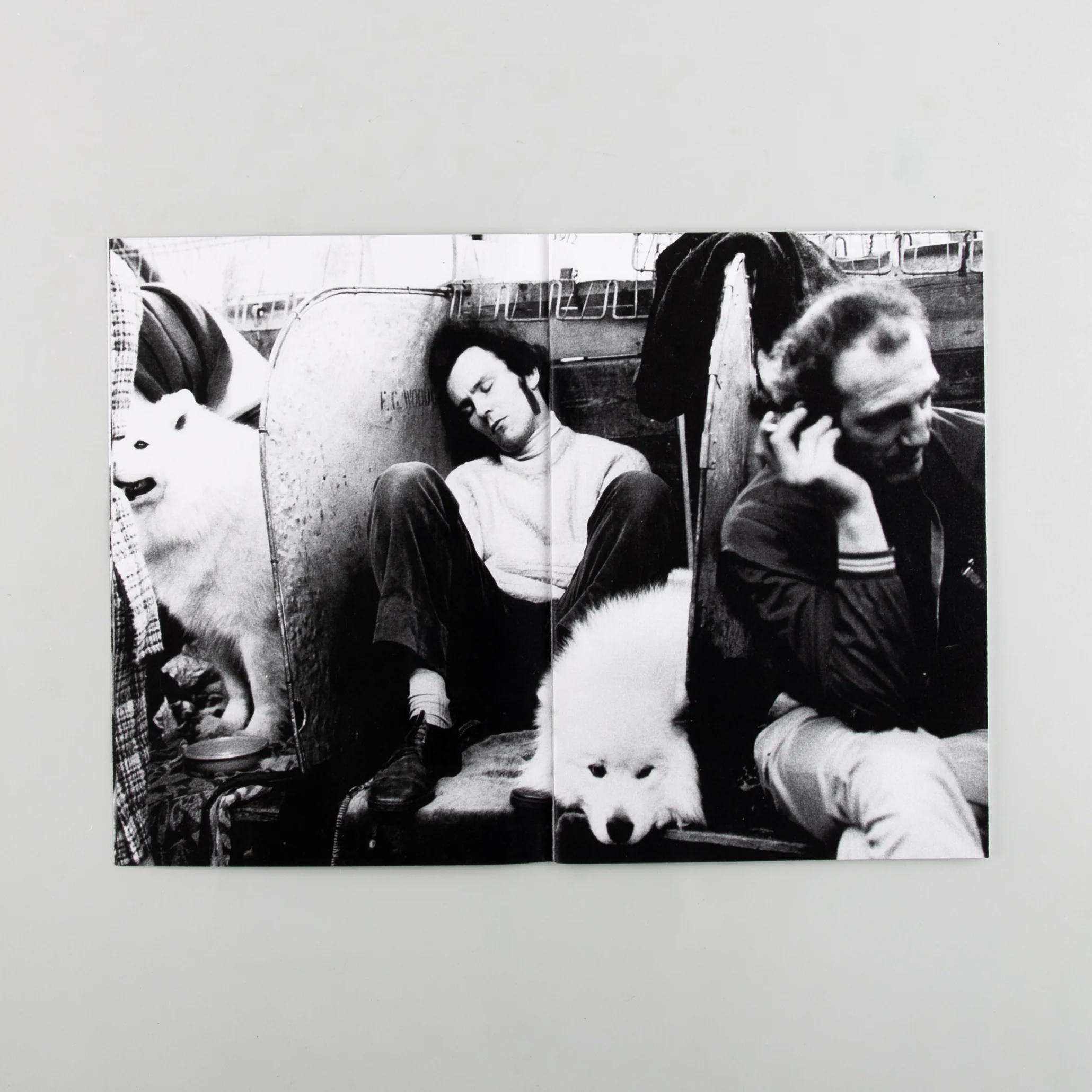 Dogs 1960s-1980s - Image 4