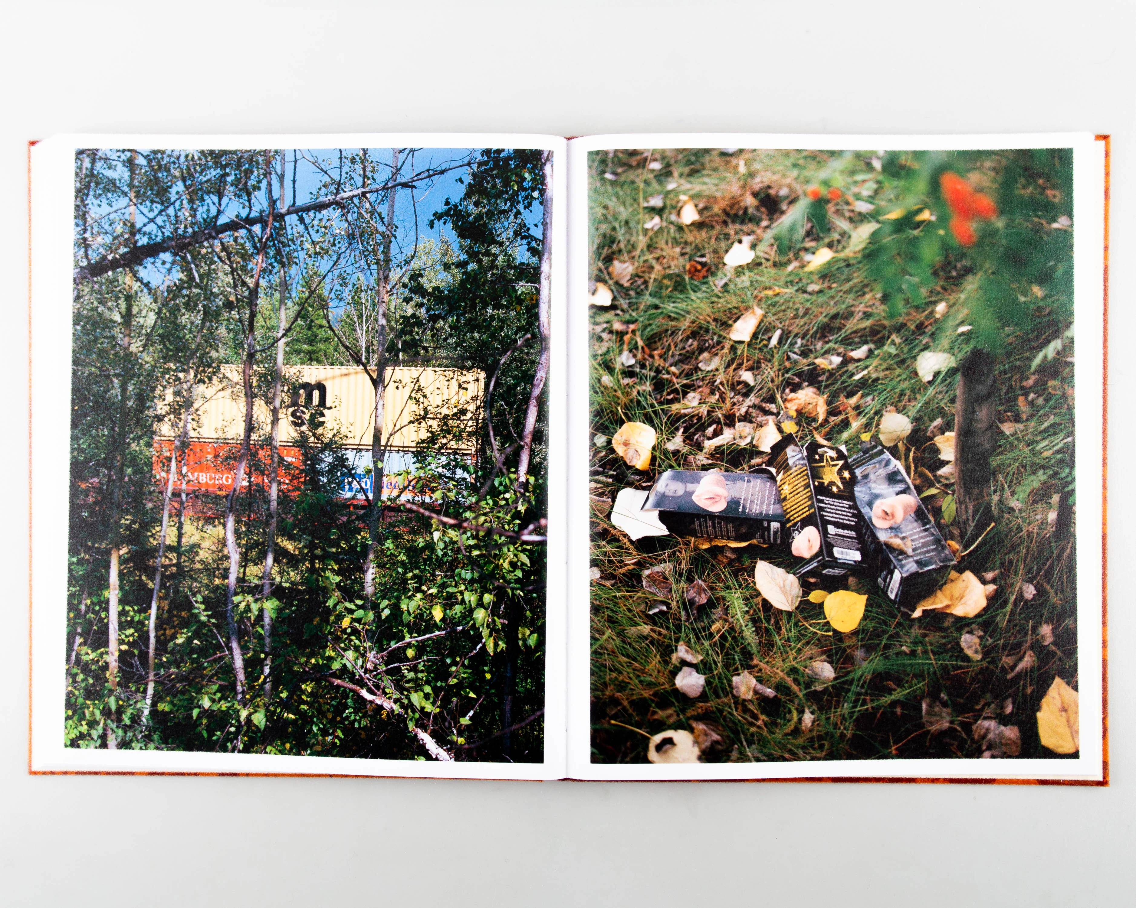 Medicine Tree - Image 4