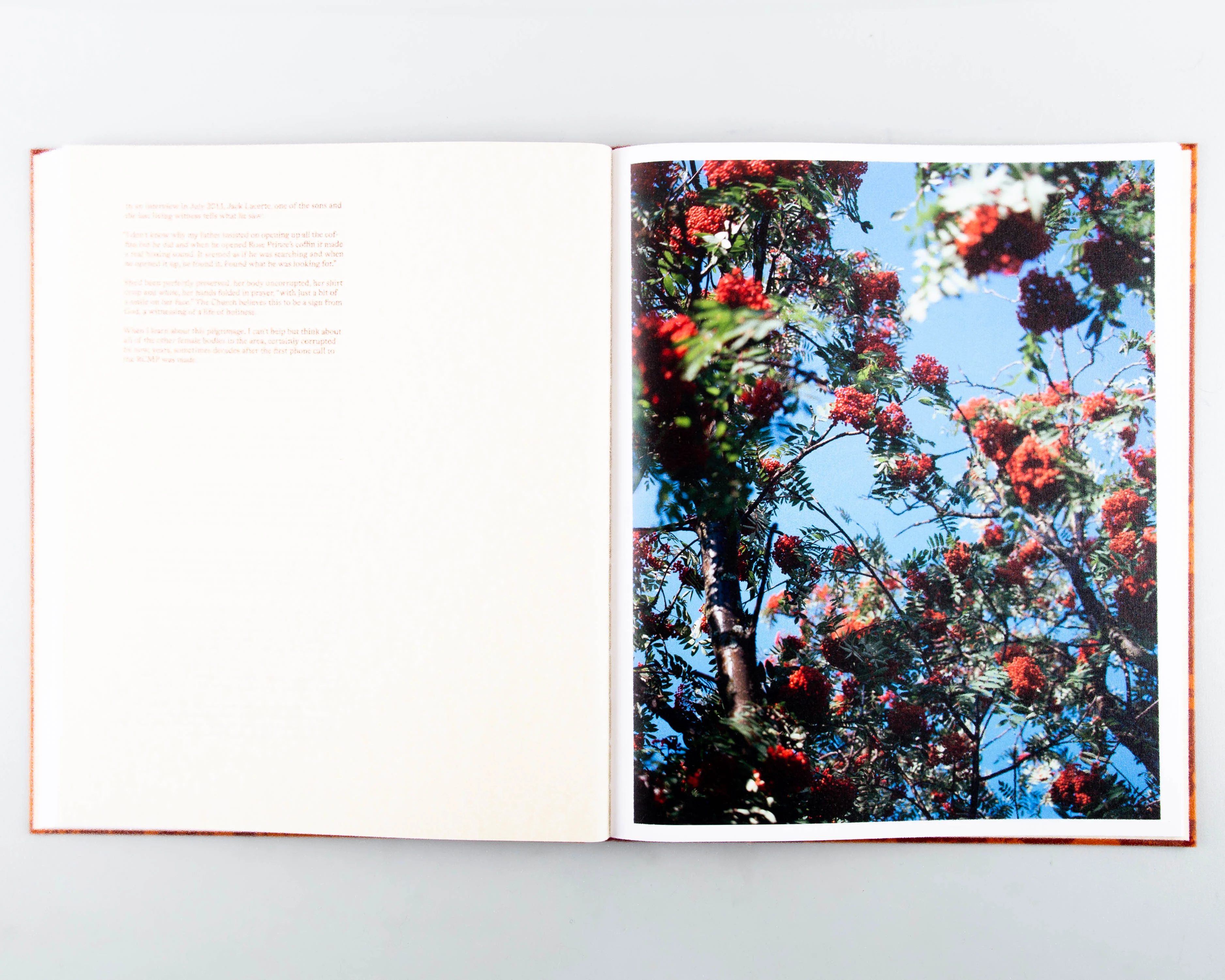 Medicine Tree - Image 5
