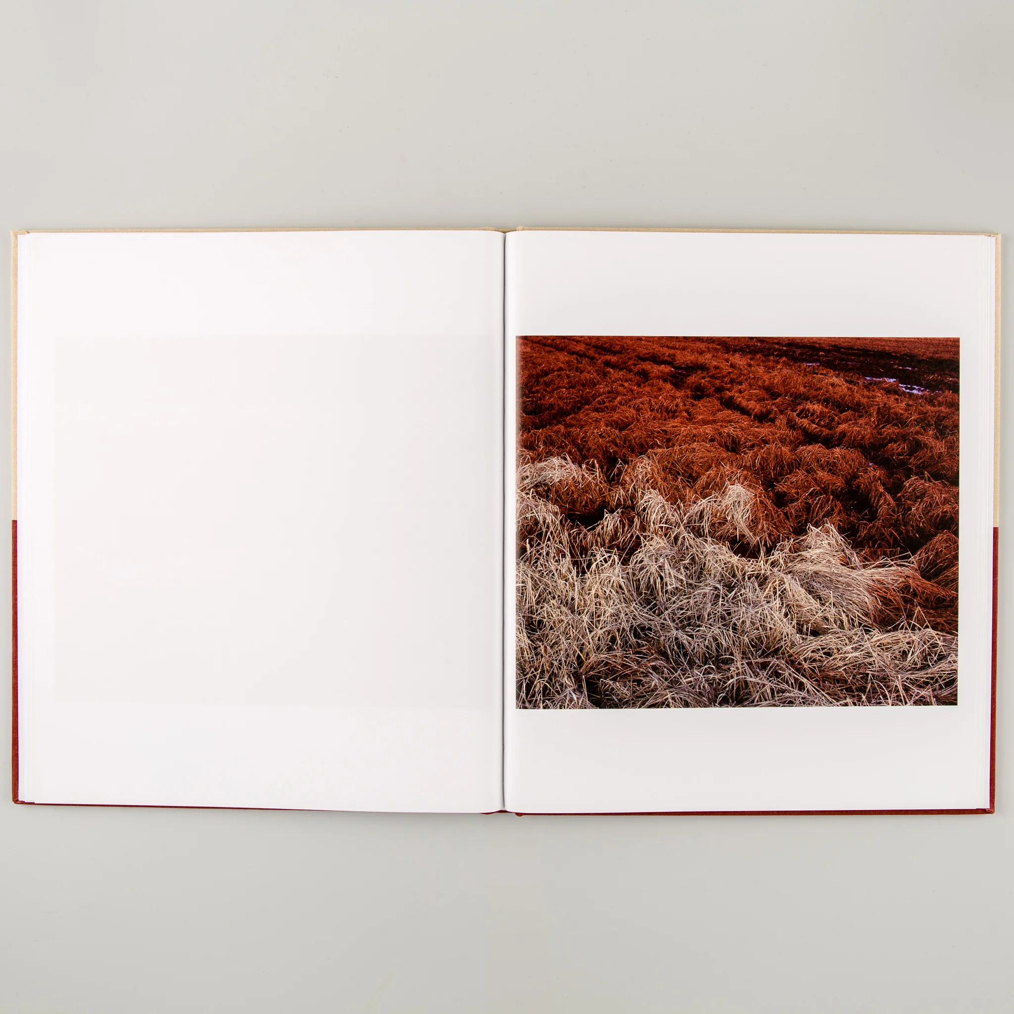 Memento - Image 3