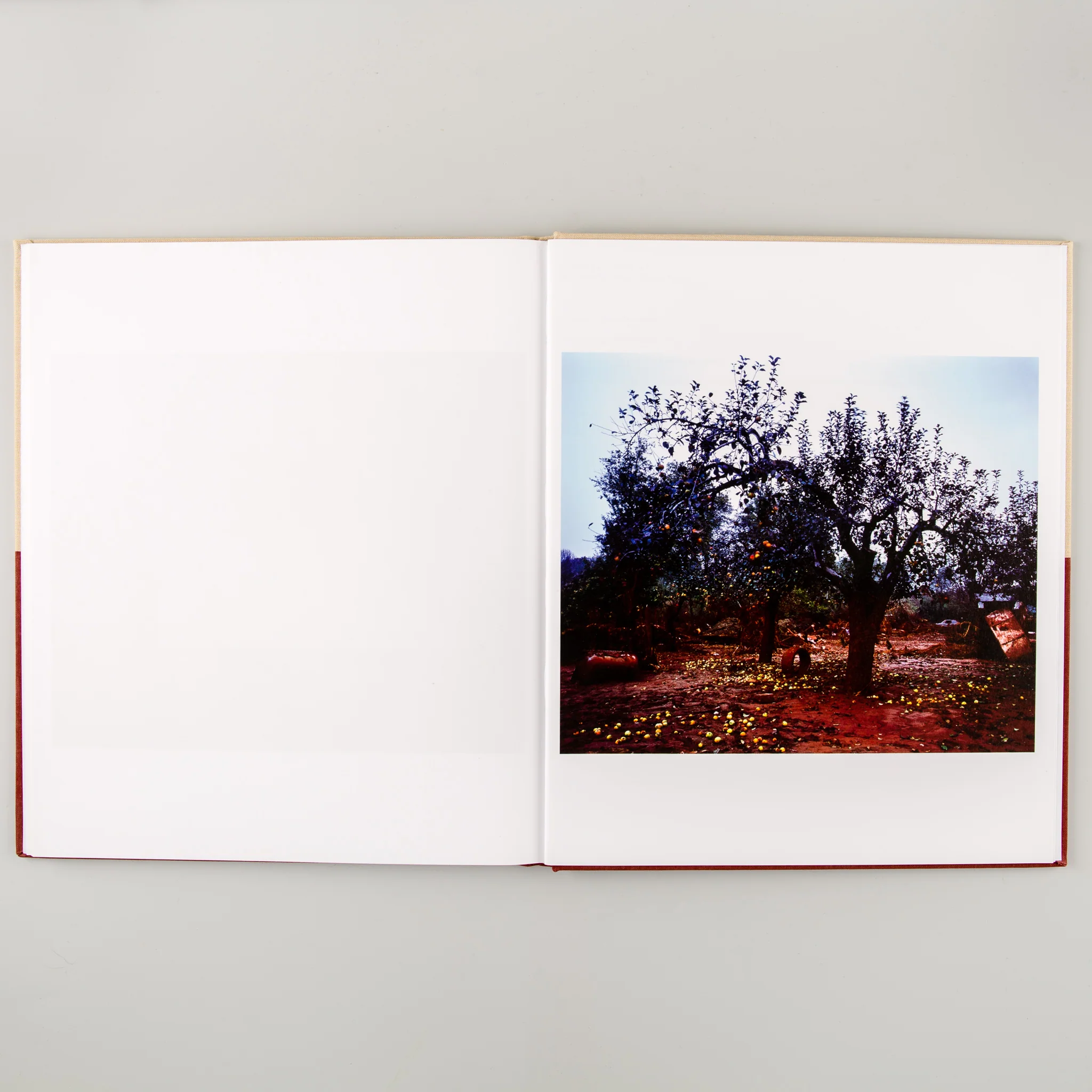 Memento - Image 6