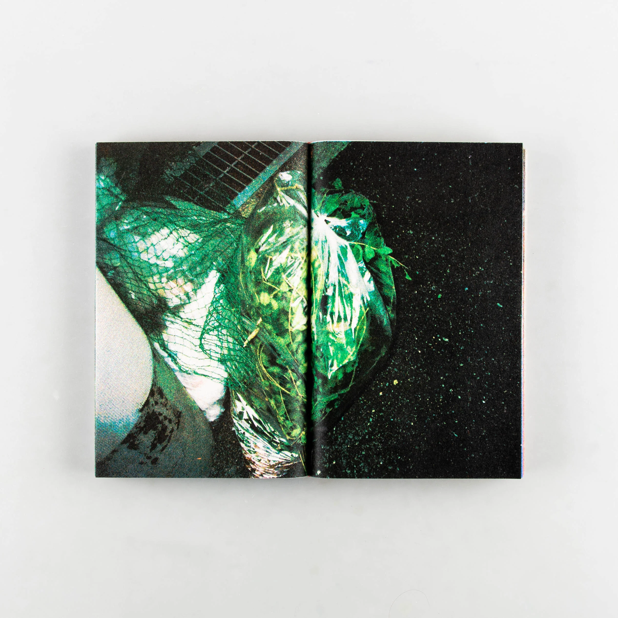 Memory in Dreamland - Image 6
