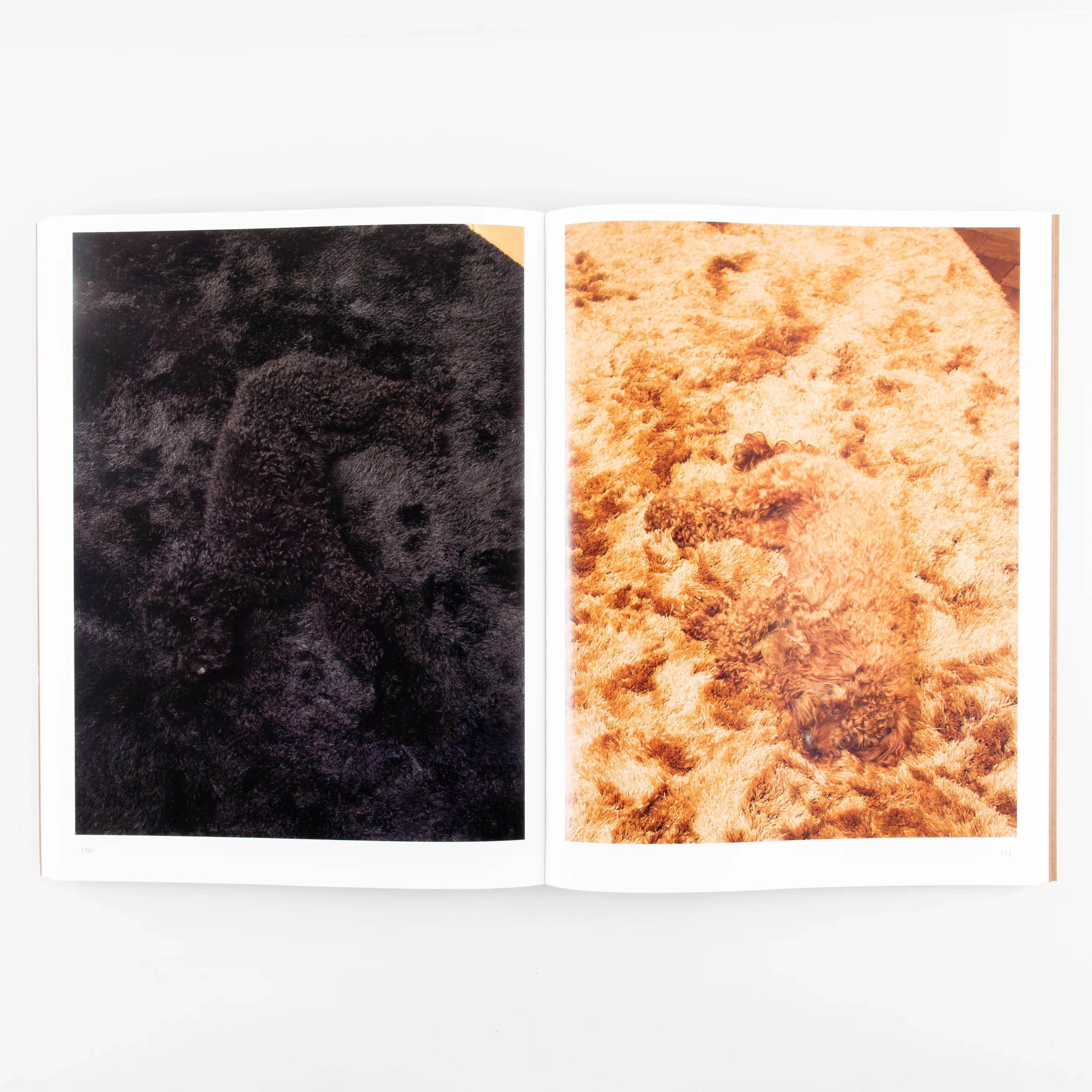More - Image 3