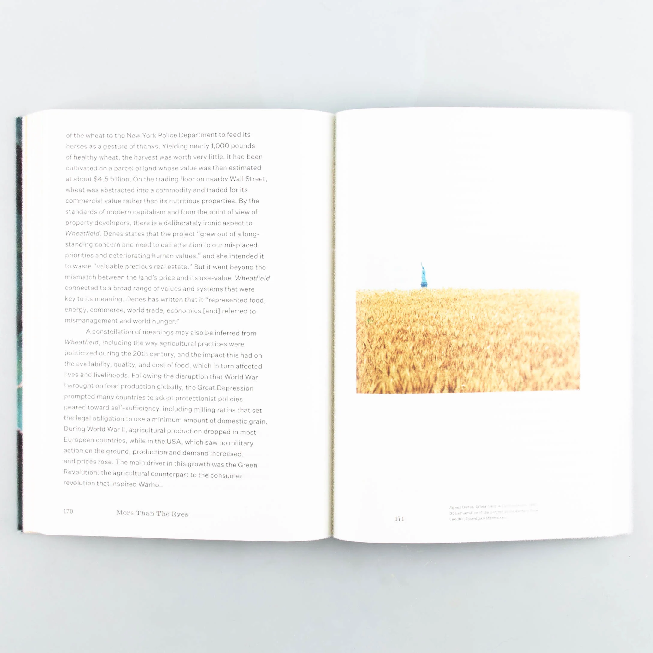 More Than Eyes - Image 6