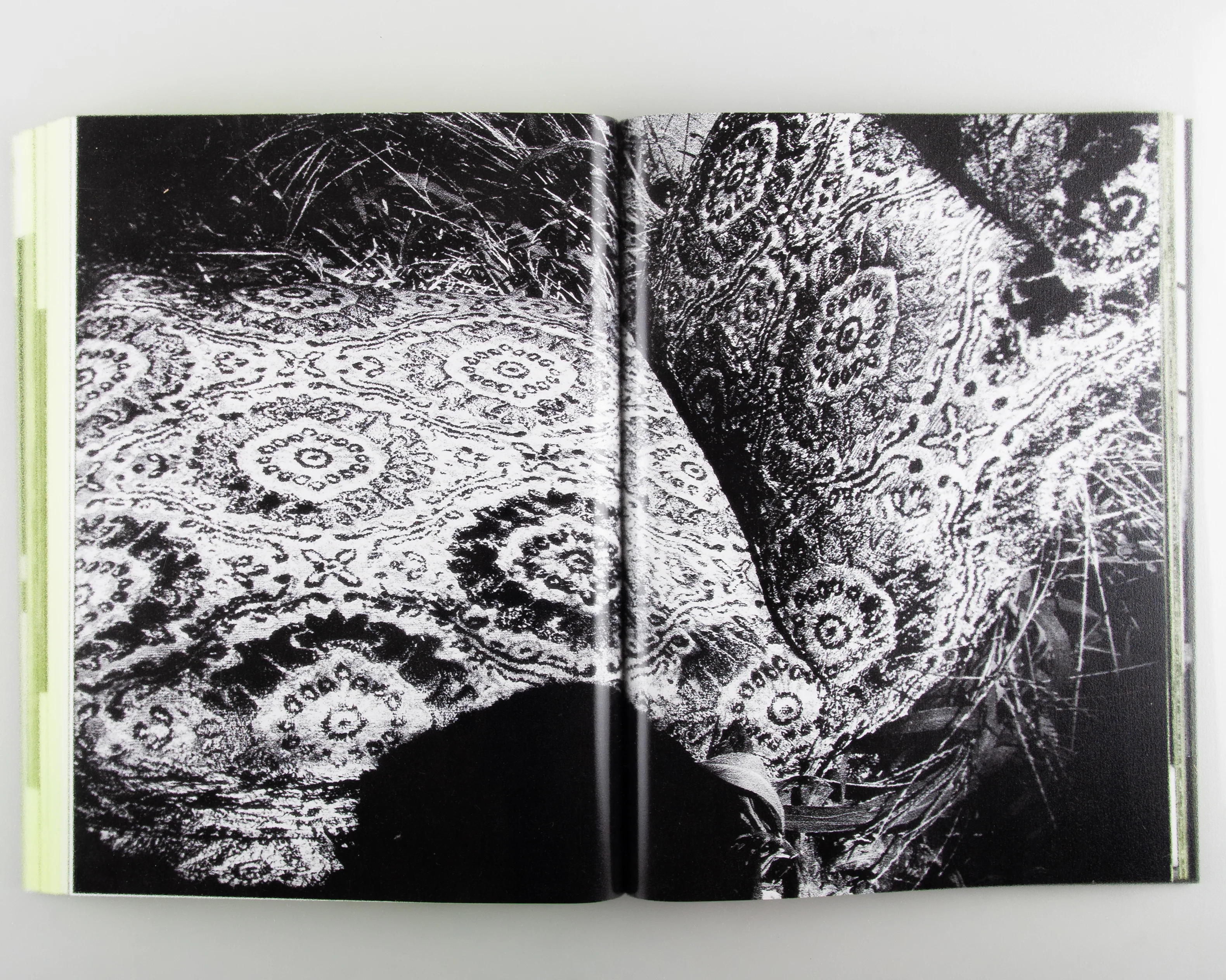 Moriyama: Quartet - Image 4