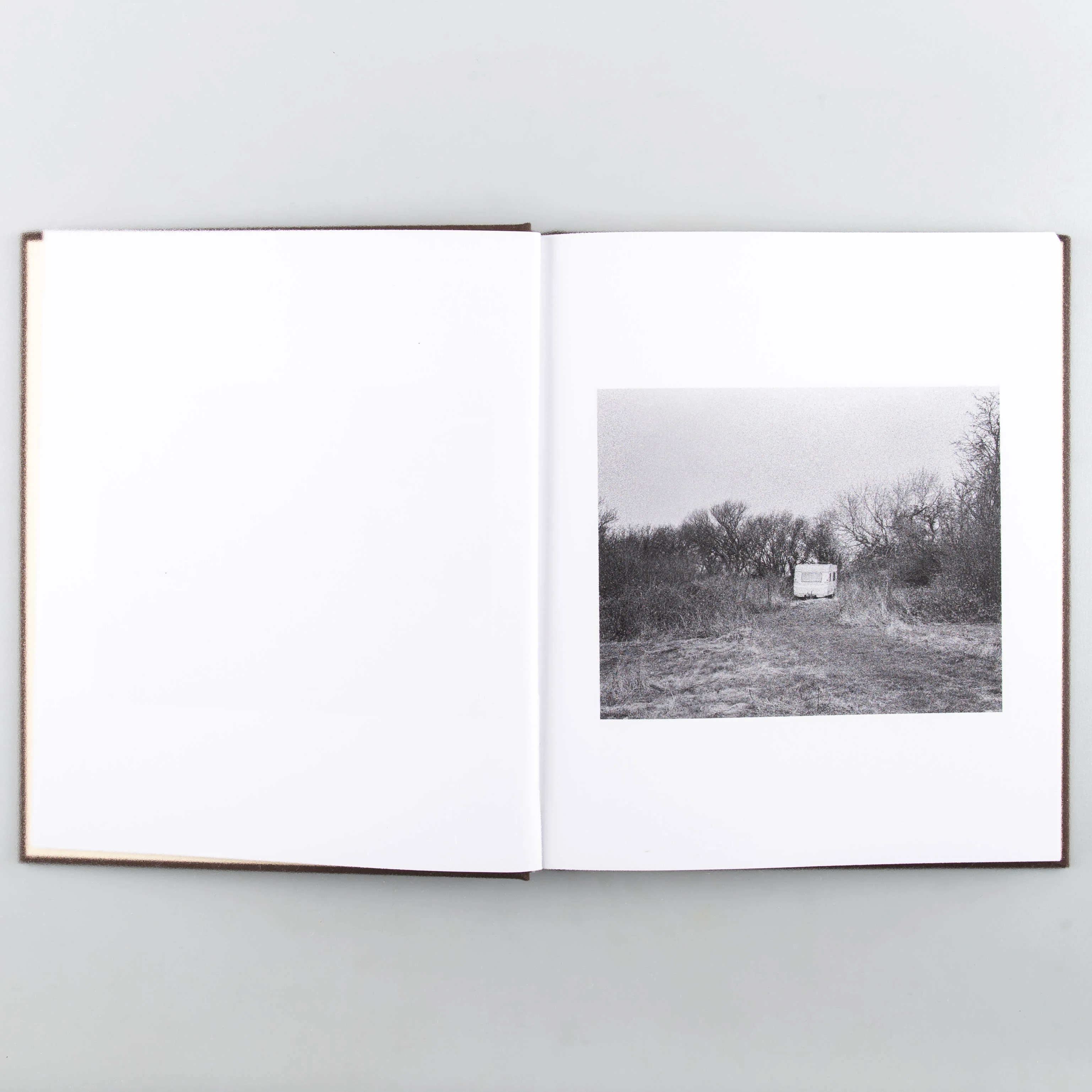 Natural Surroundings - Image 4
