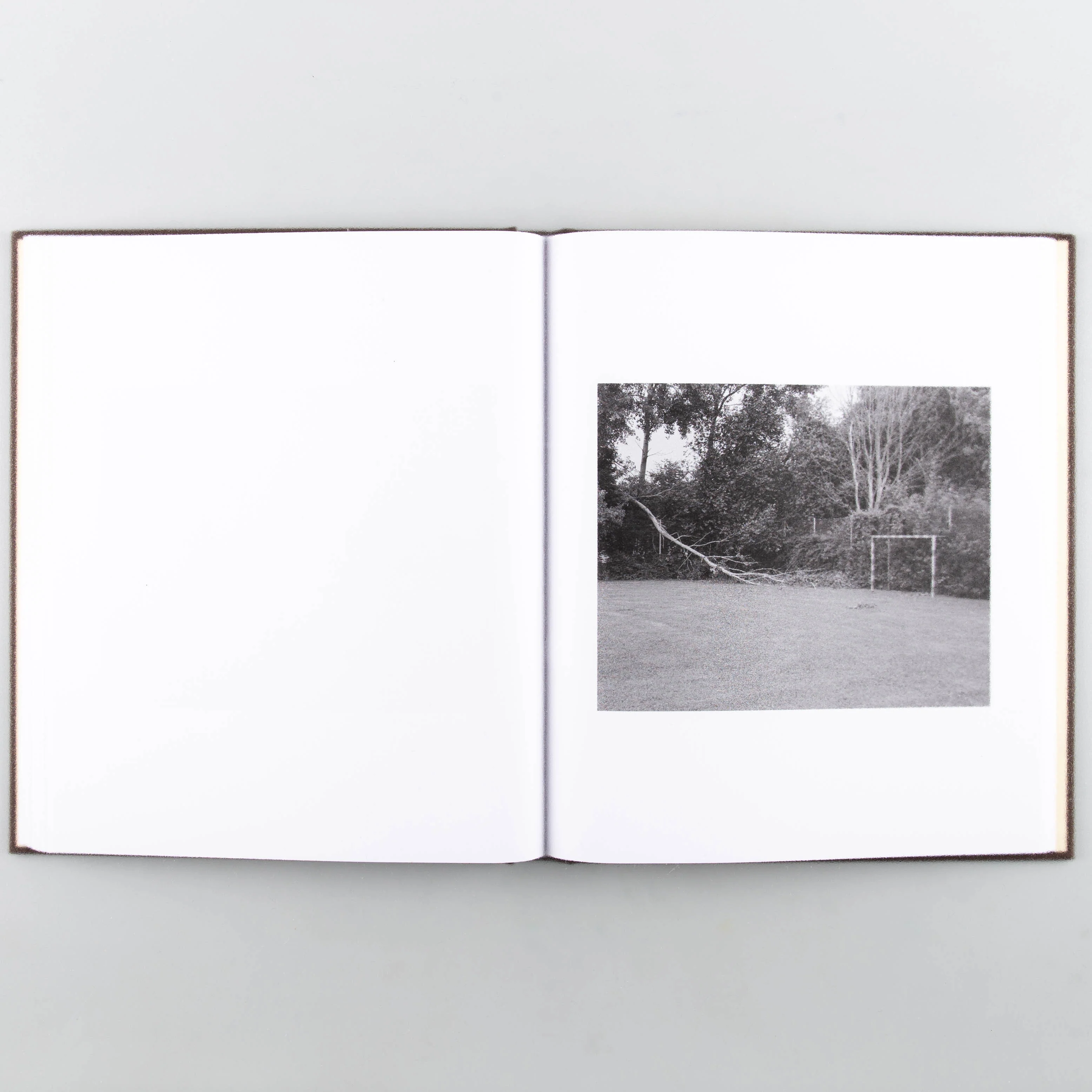Natural Surroundings - Image 7