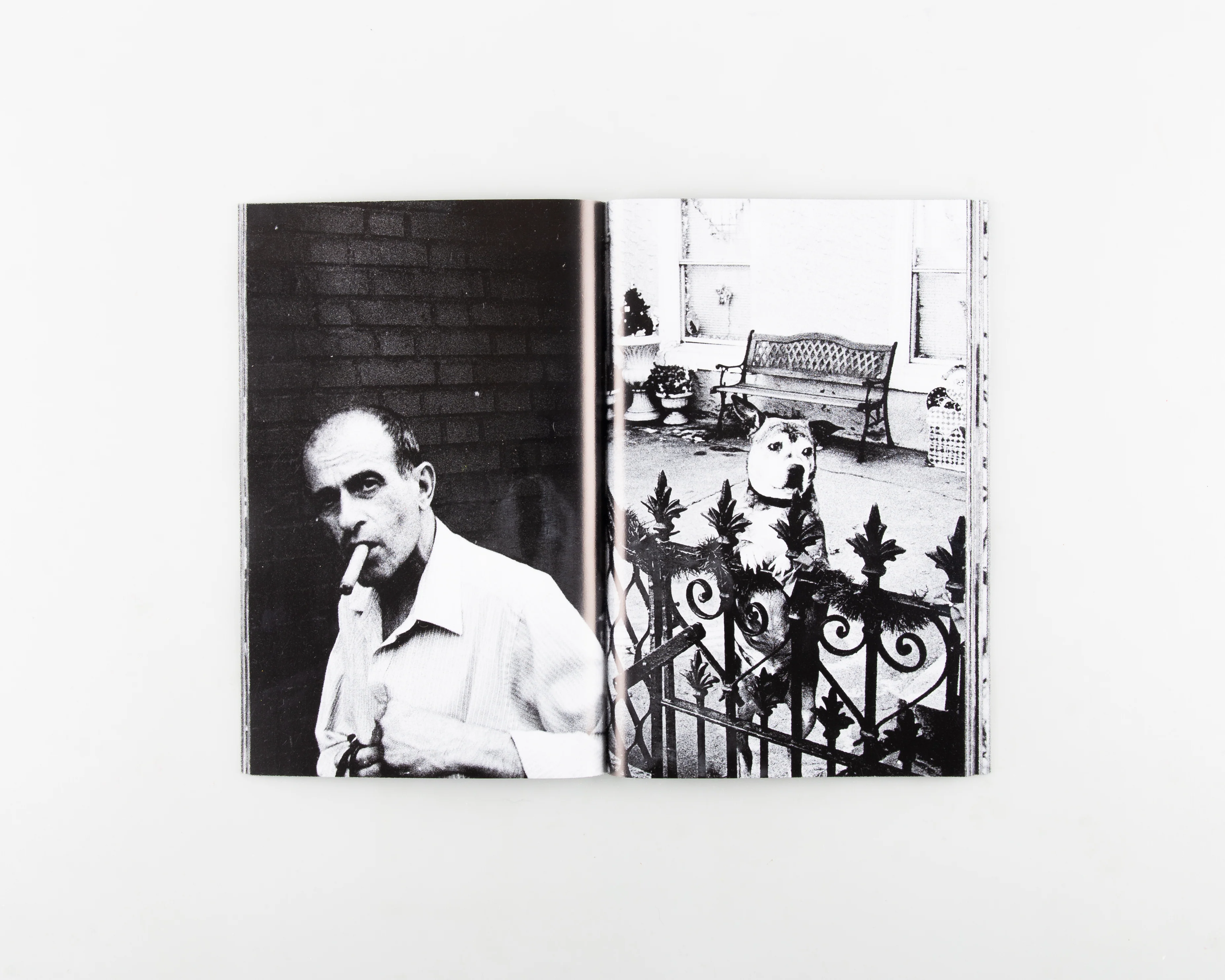 NEW YORK IS MINE / I CAME AT THE PERFECT TIME - Image 10