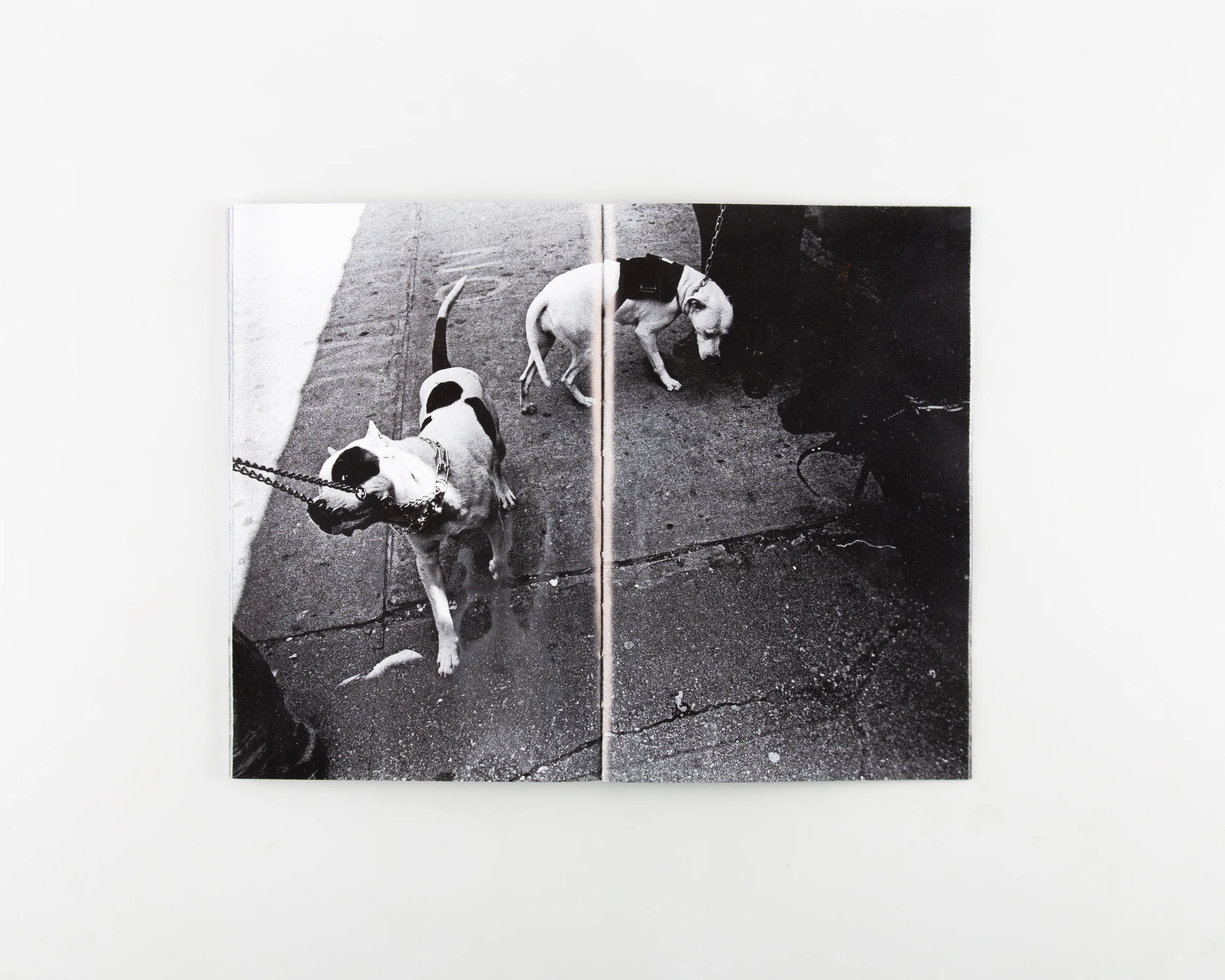 NEW YORK IS MINE / I CAME AT THE PERFECT TIME - Image 7