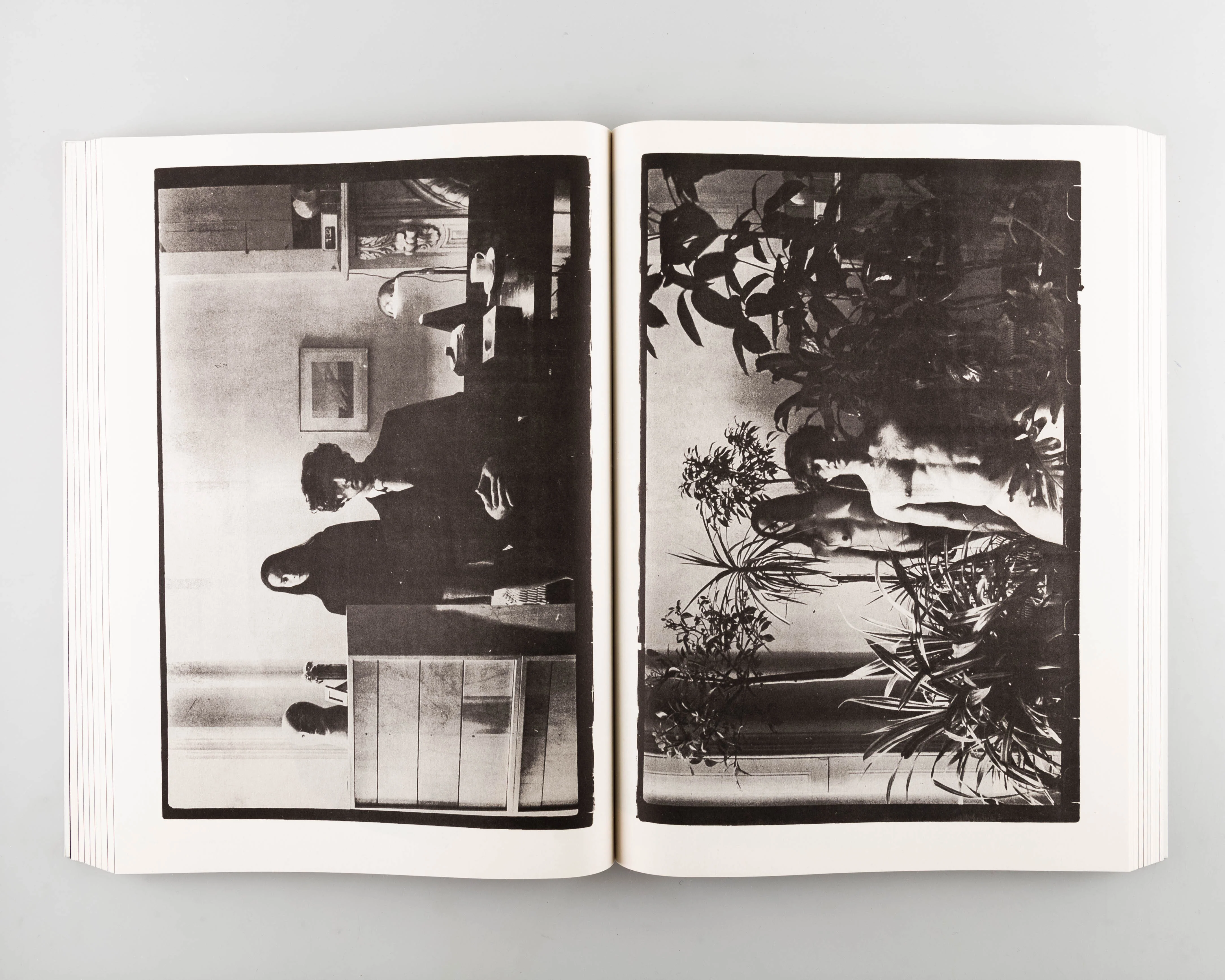 NEWSPAPER - Image 6