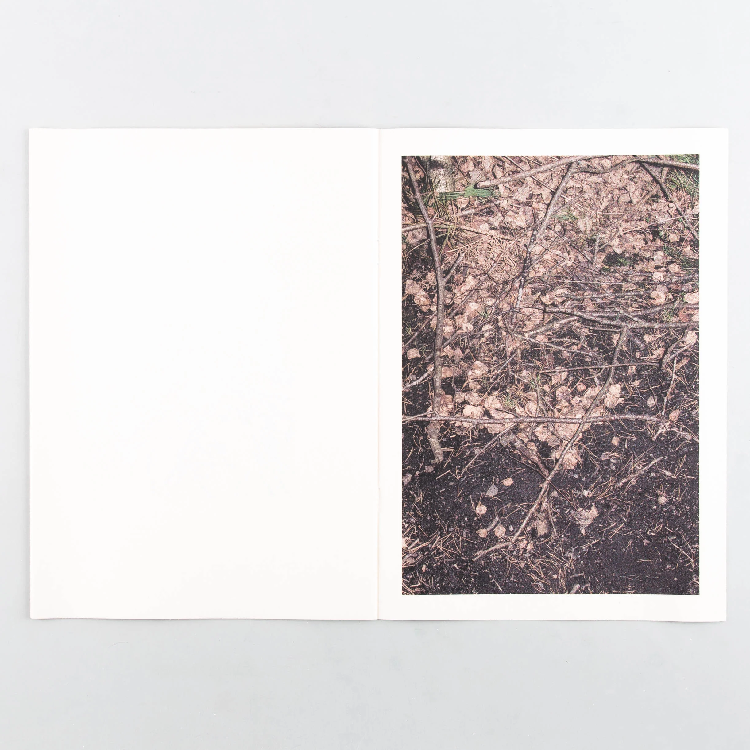 November - Image 2