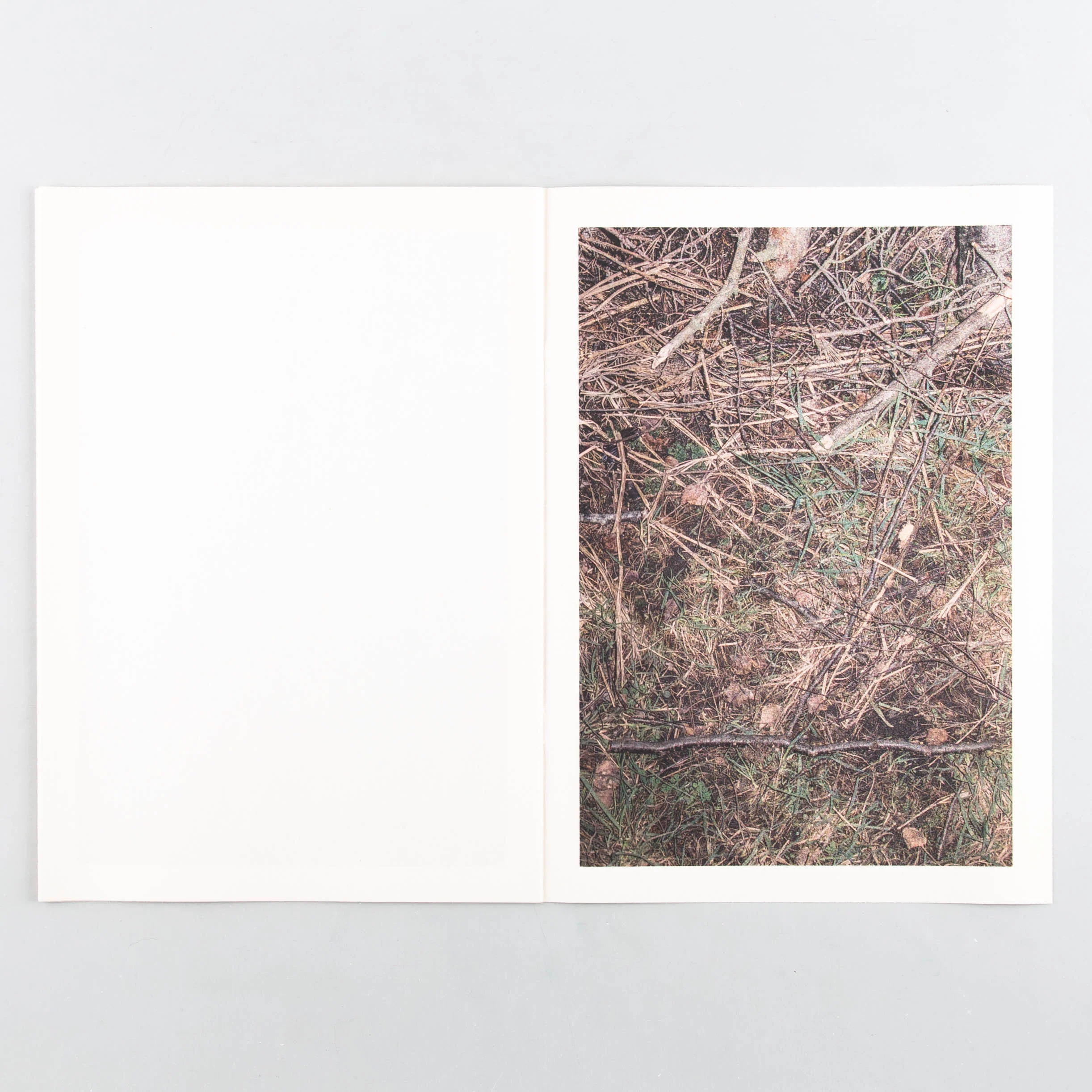 November - Image 3