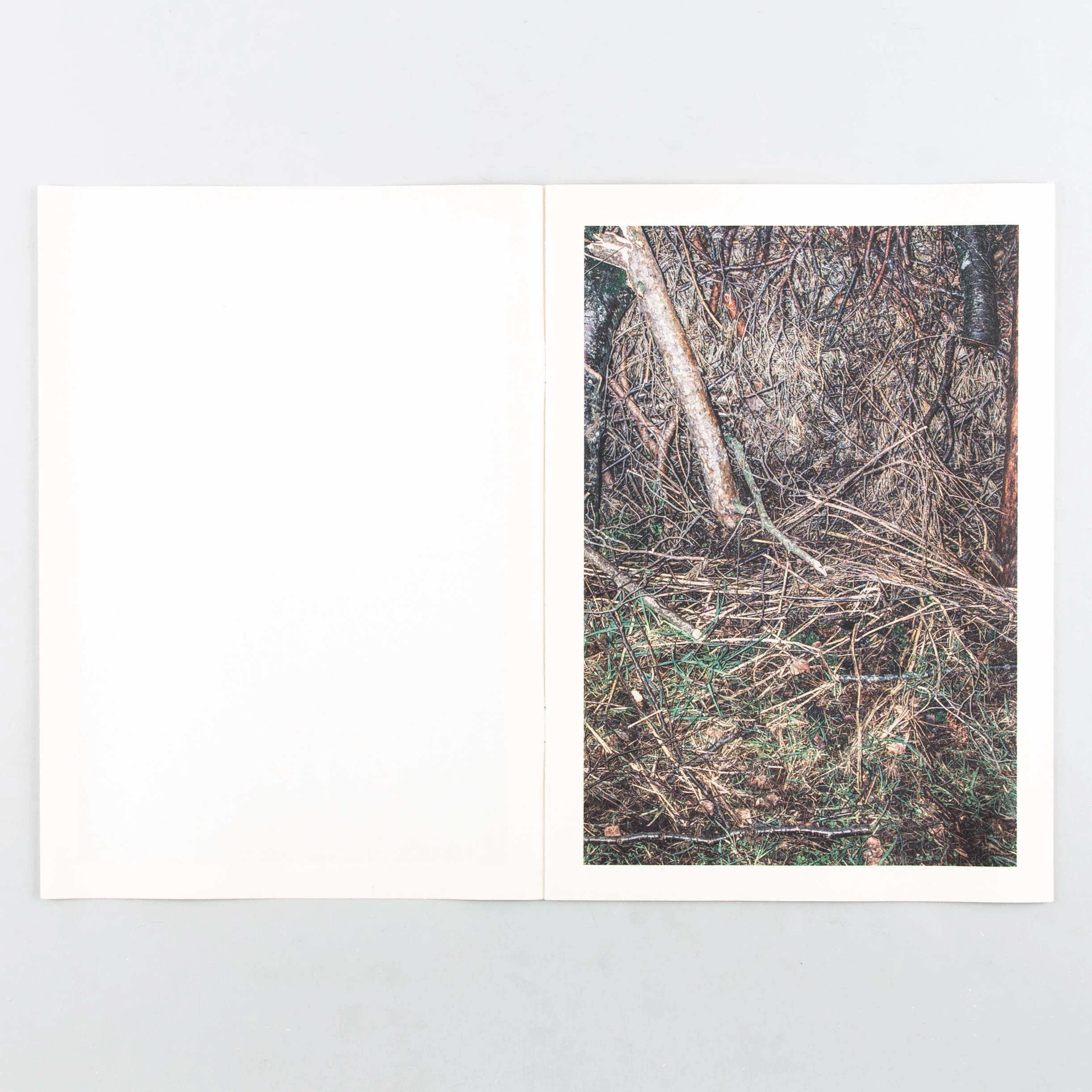 November - Image 4