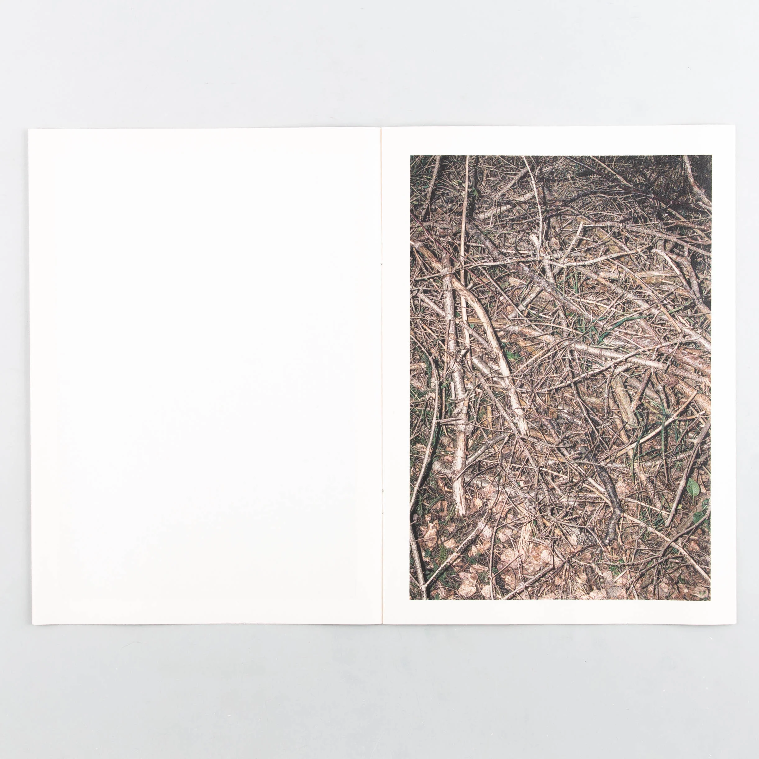 November - Image 5