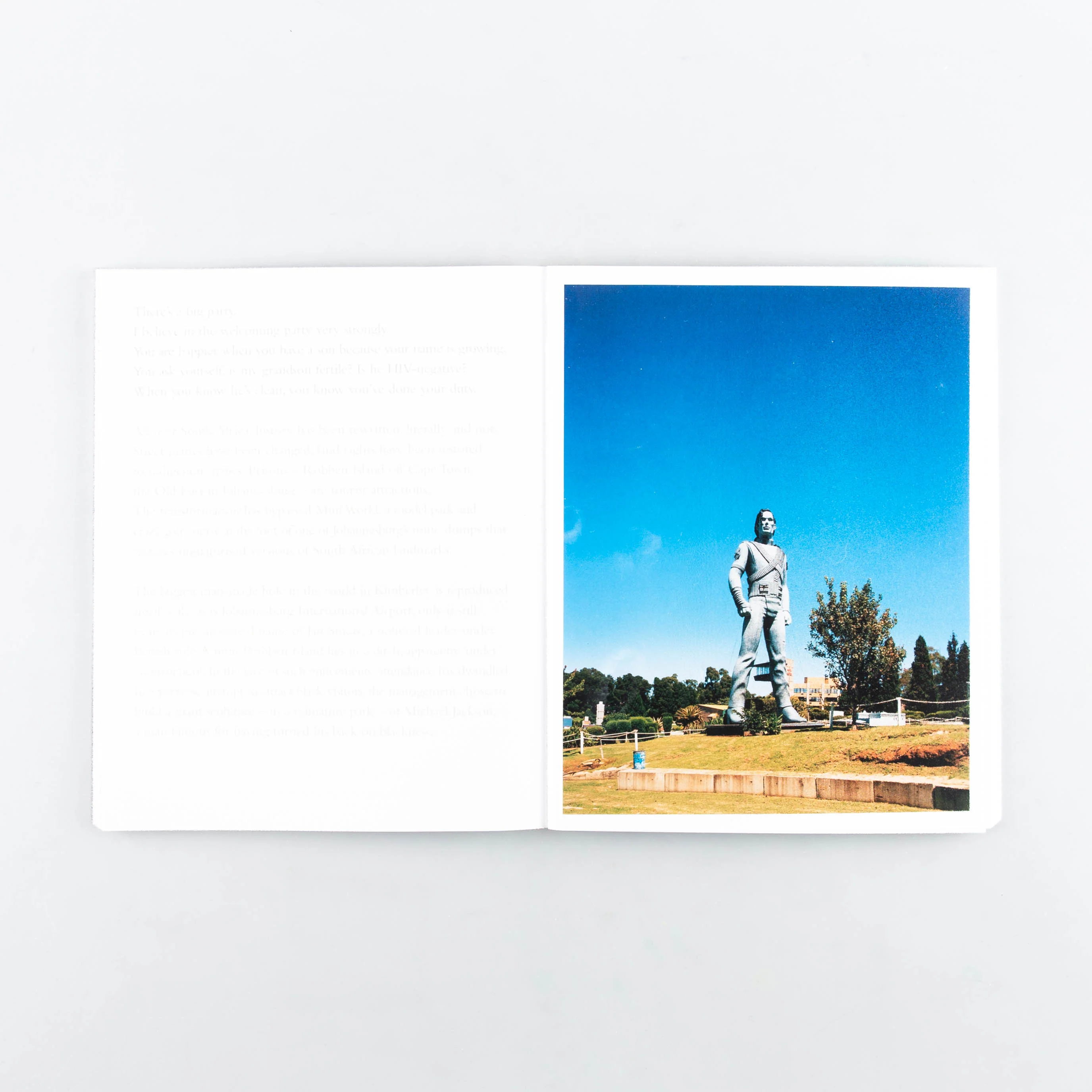 Mr Mkhize's portrait & other stories from the new South Africa. - Image 5