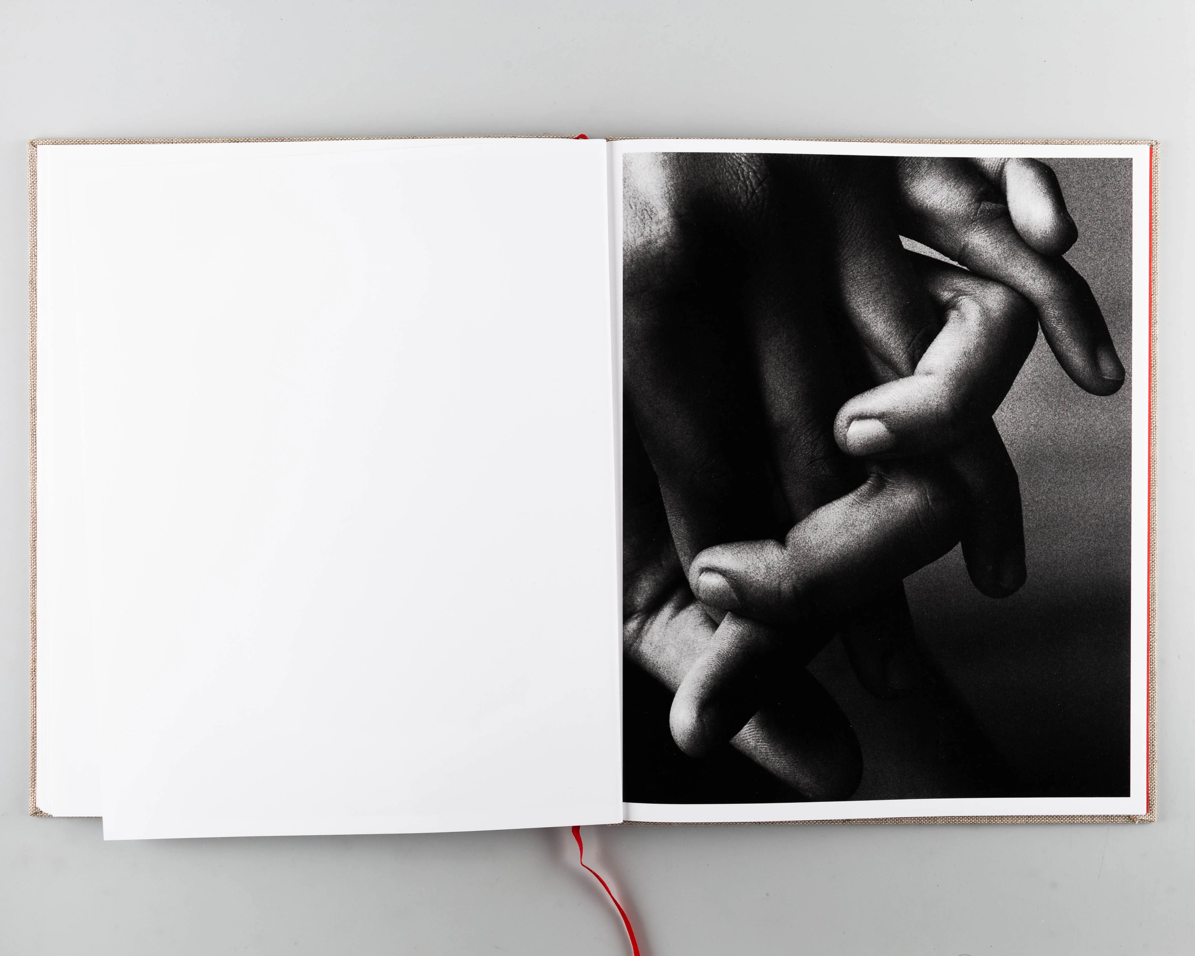 O - Image 7