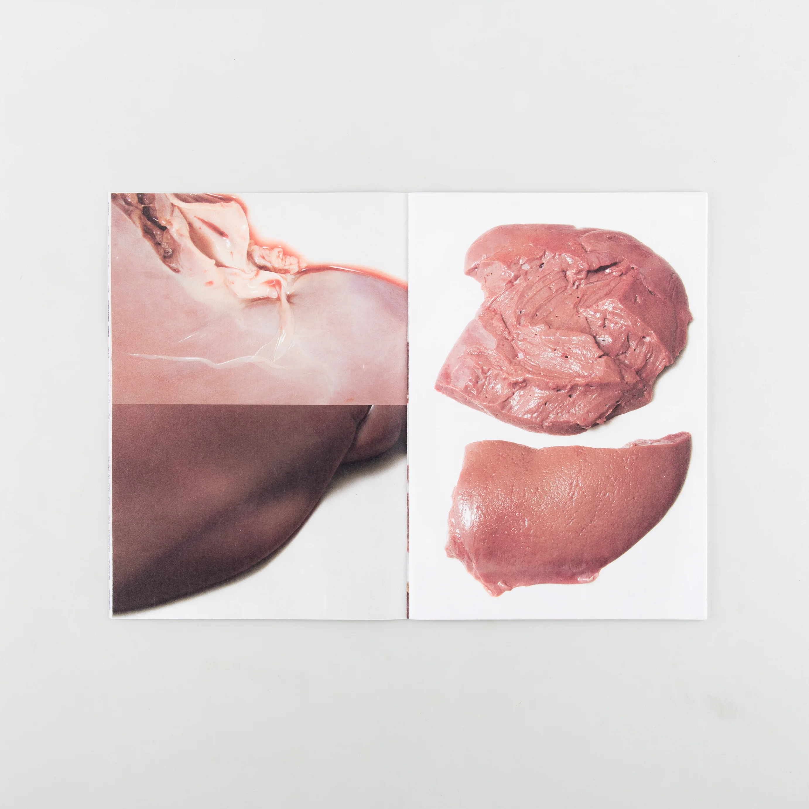 Offcuts: Liver - Image 4