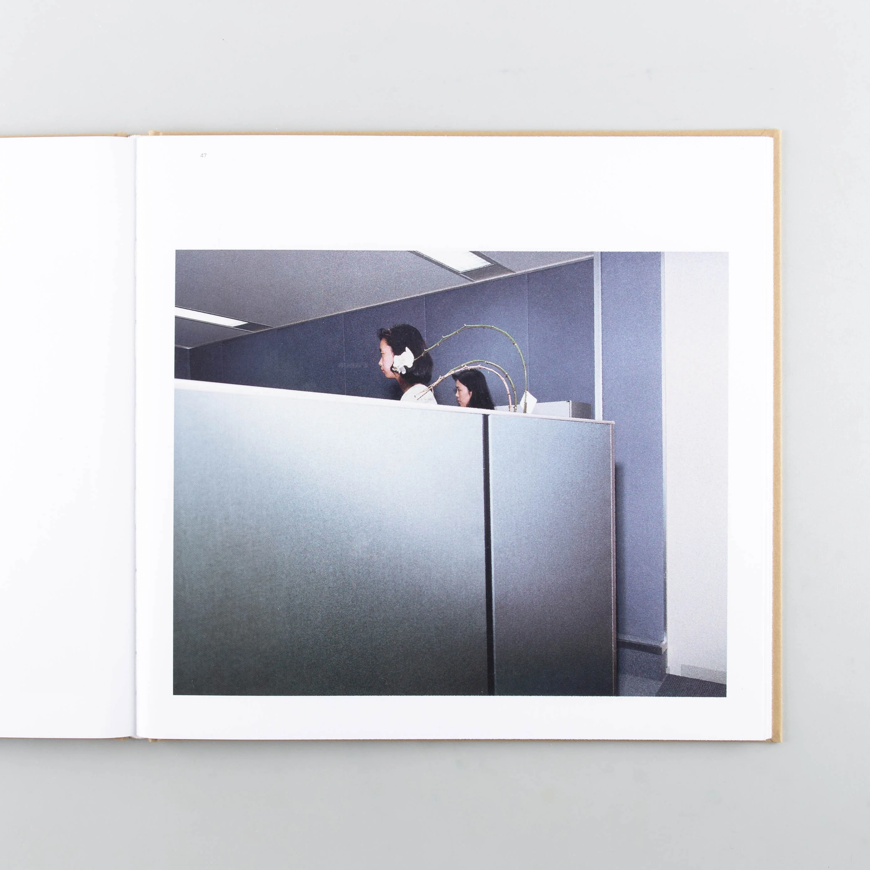 Office / LA Office - Image 4