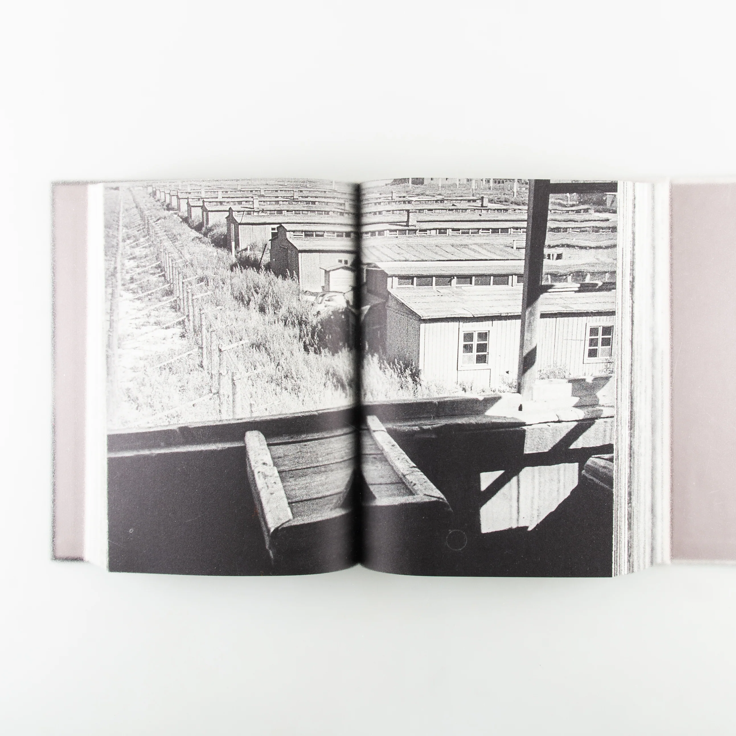 Olga Ignatovich: In the Shadow of the Big Brother - Image 5